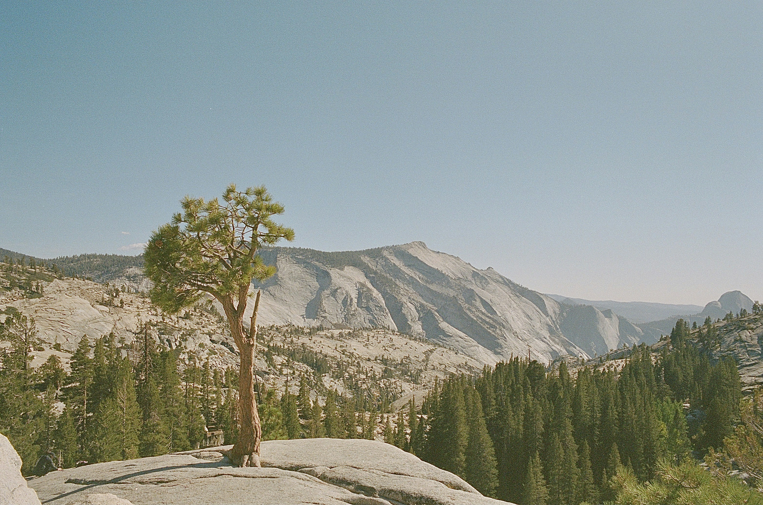 Photo by codymanning22