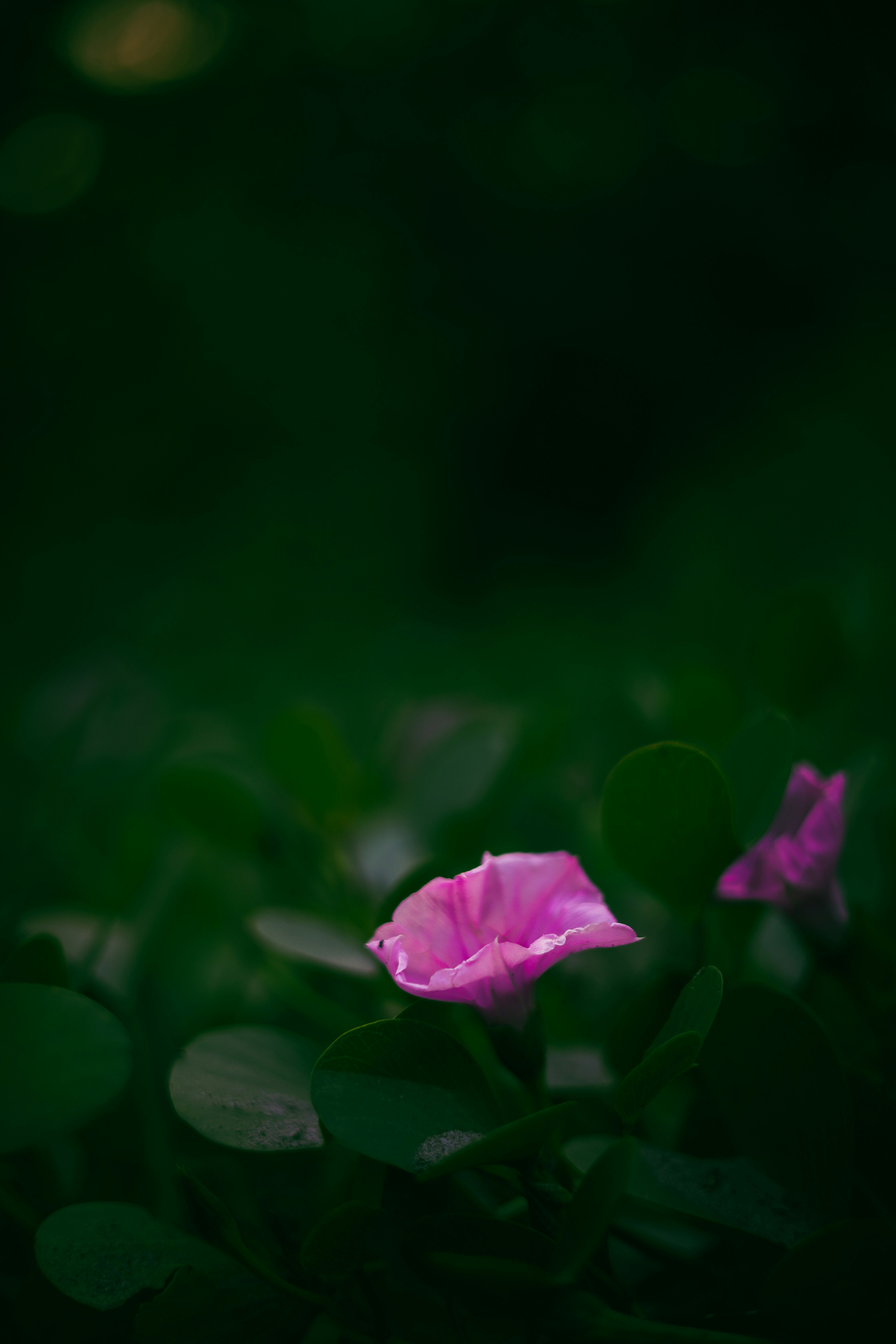 Photo by its_since1997