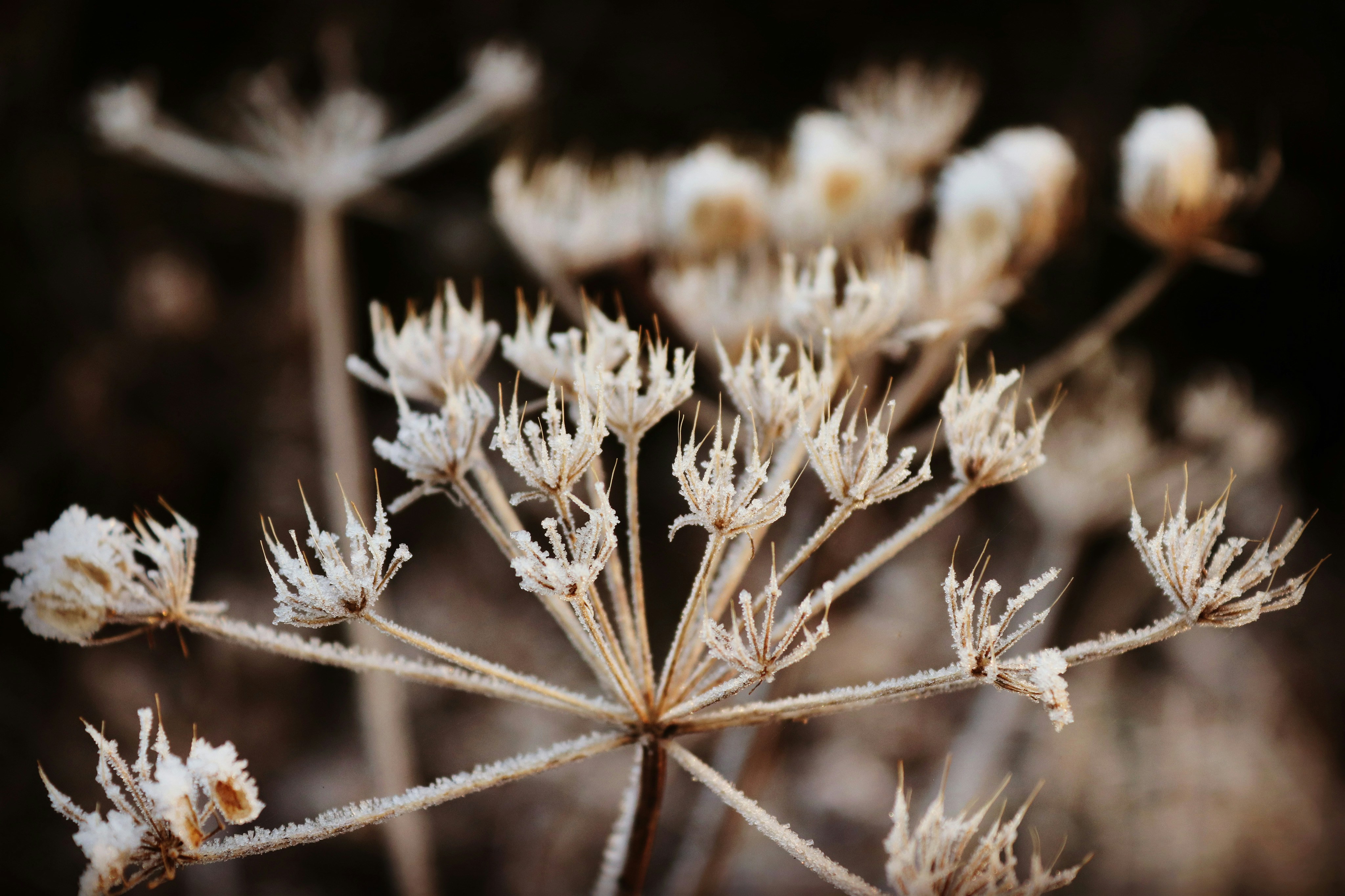 Photo by jonesyincphoto