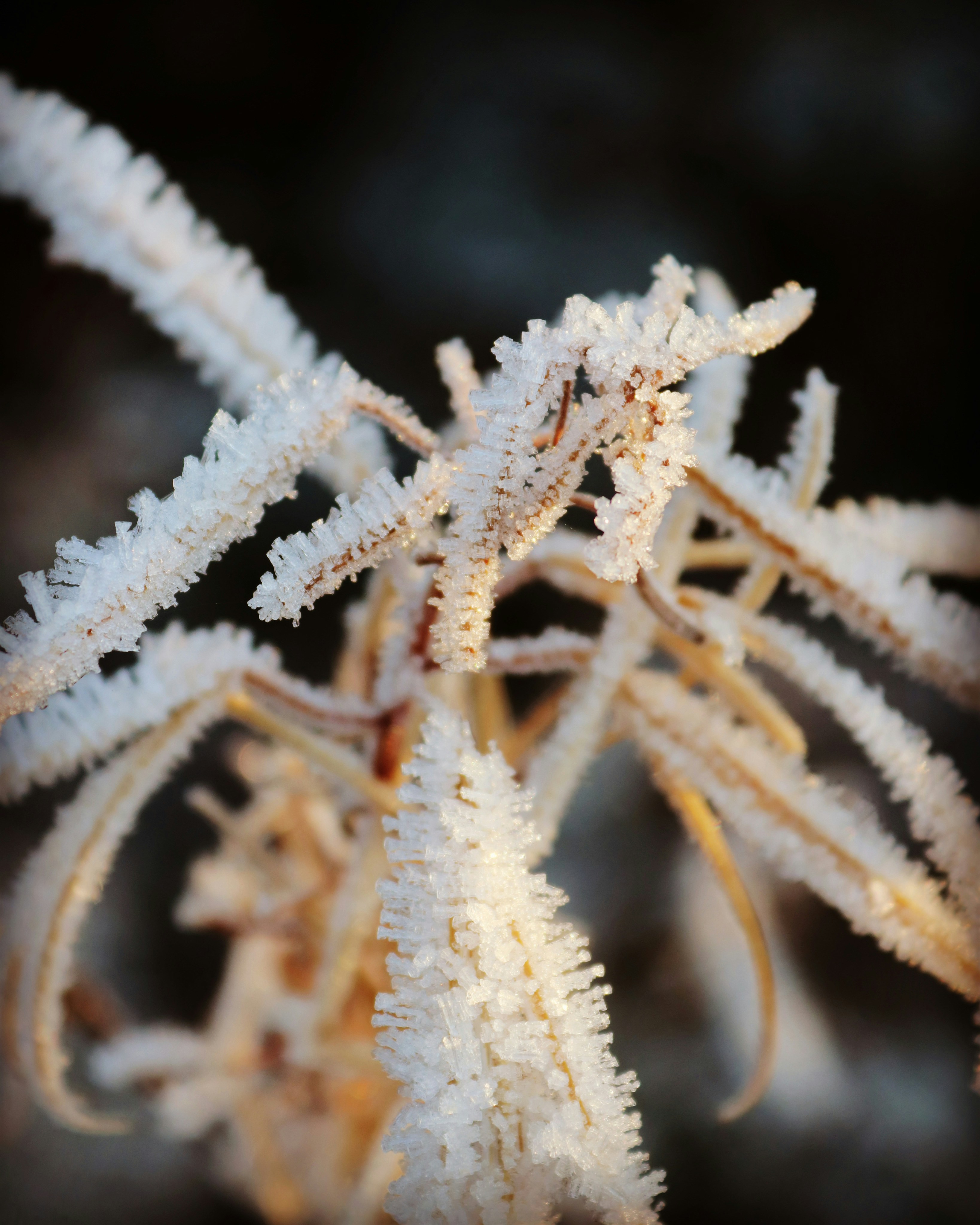 Photo by jonesyincphoto