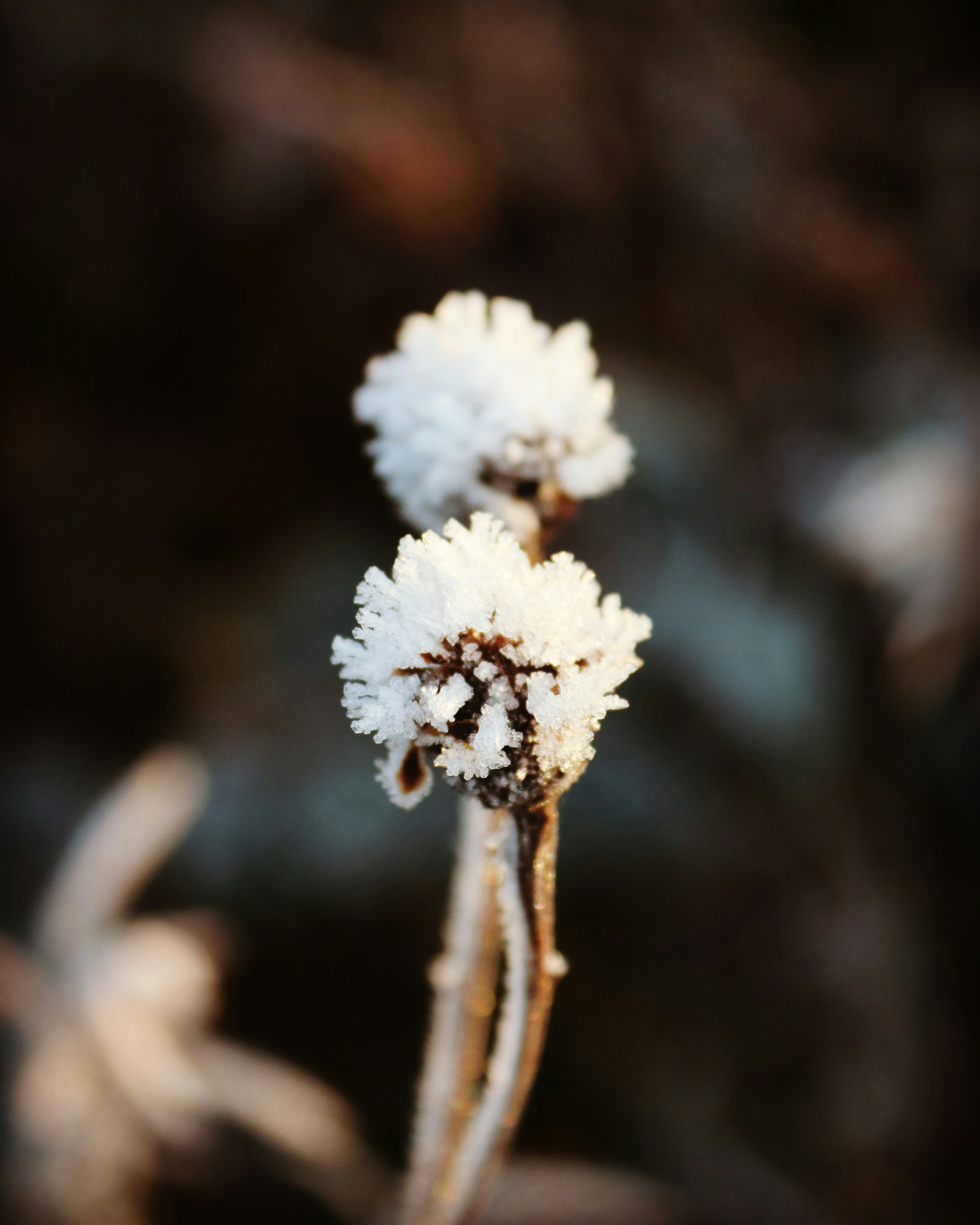 Photo by jonesyincphoto