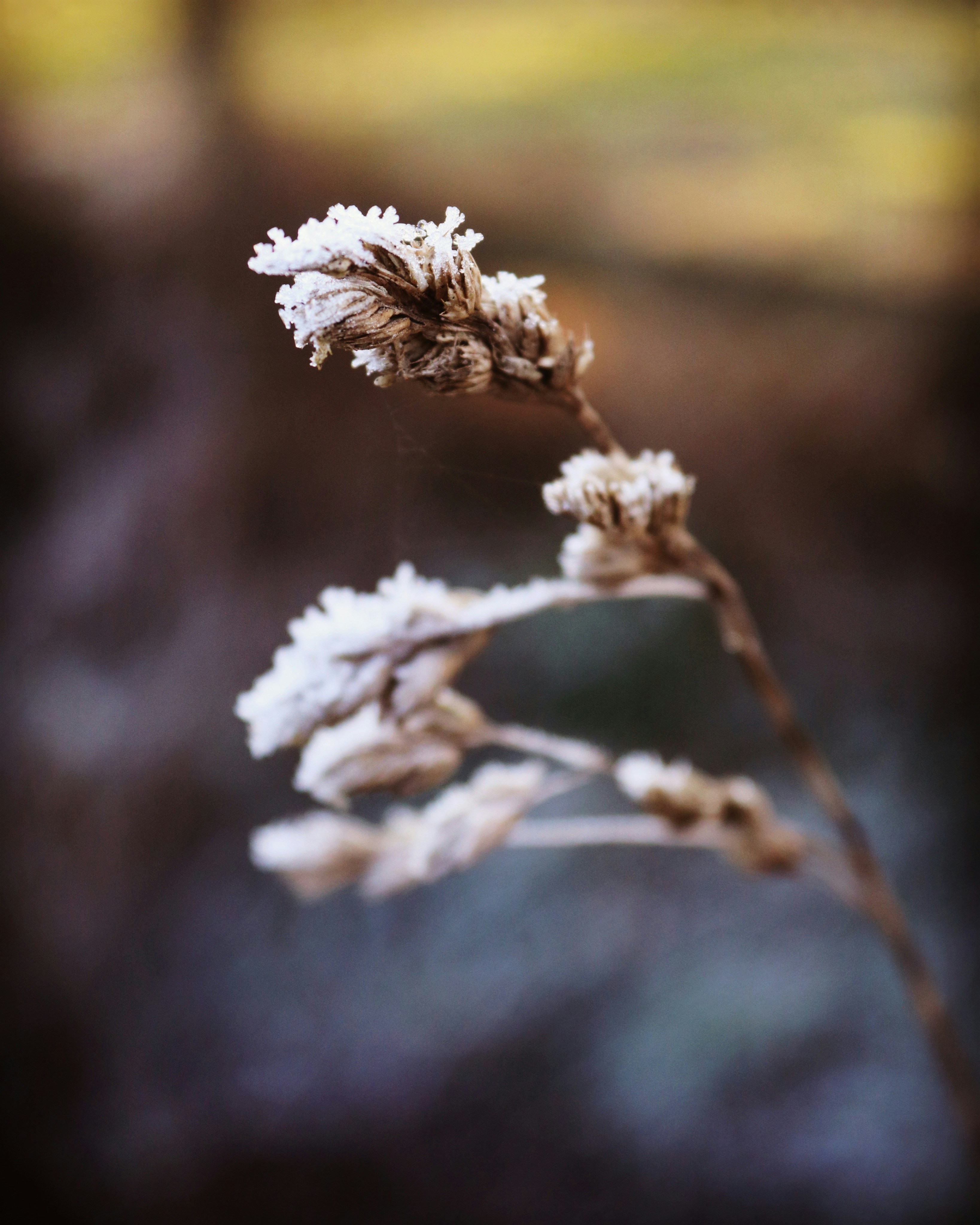 Photo by jonesyincphoto