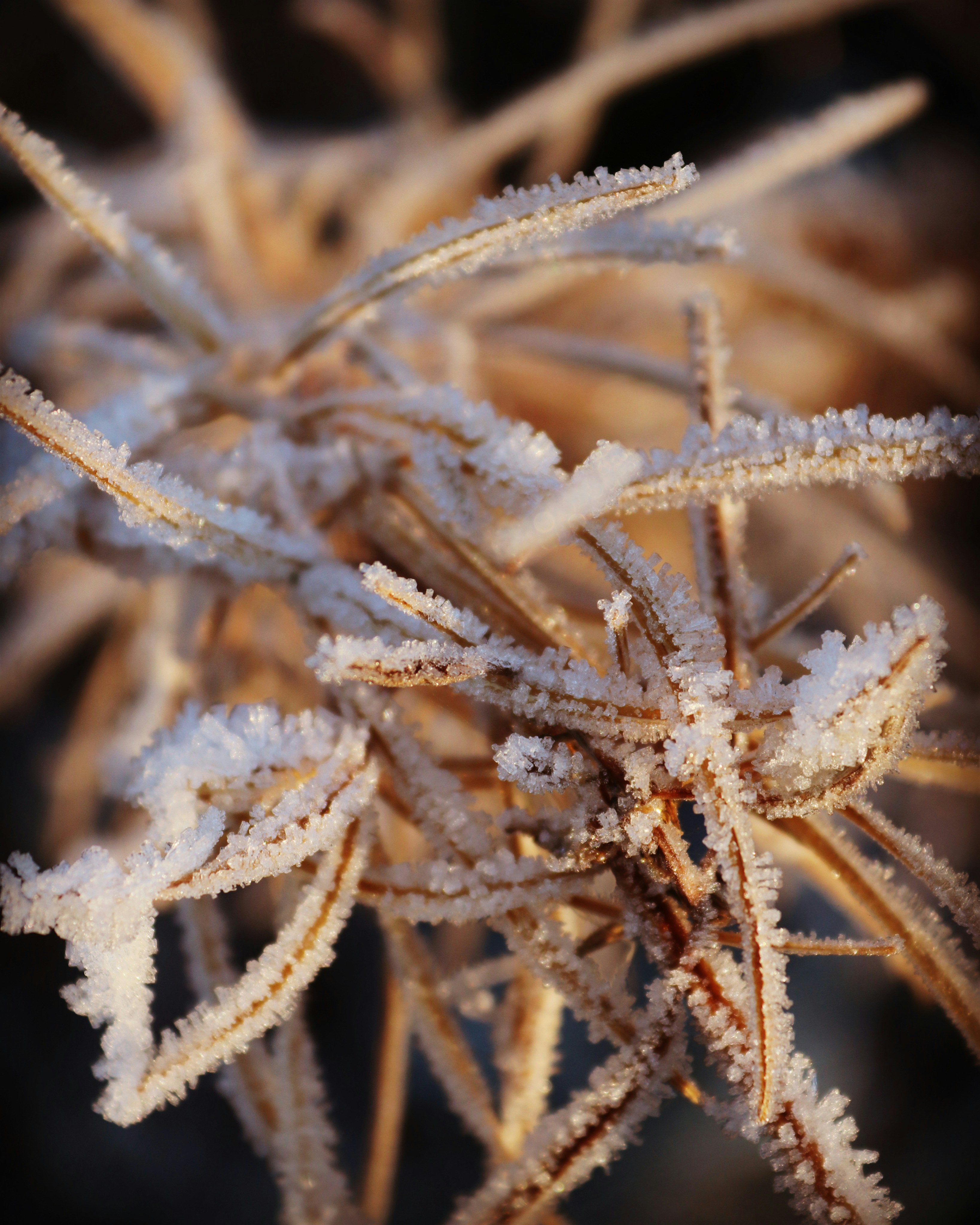 Photo by jonesyincphoto