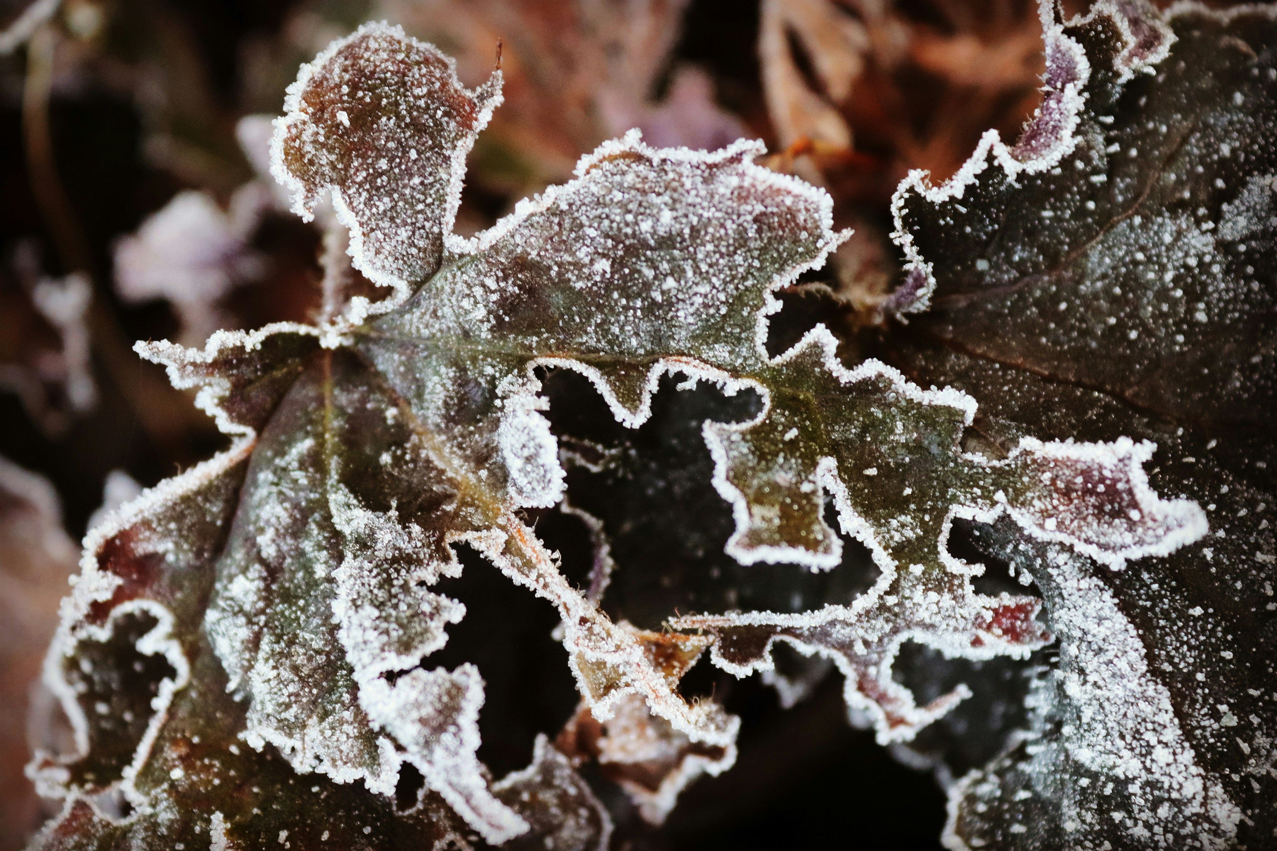 Photo by jonesyincphoto