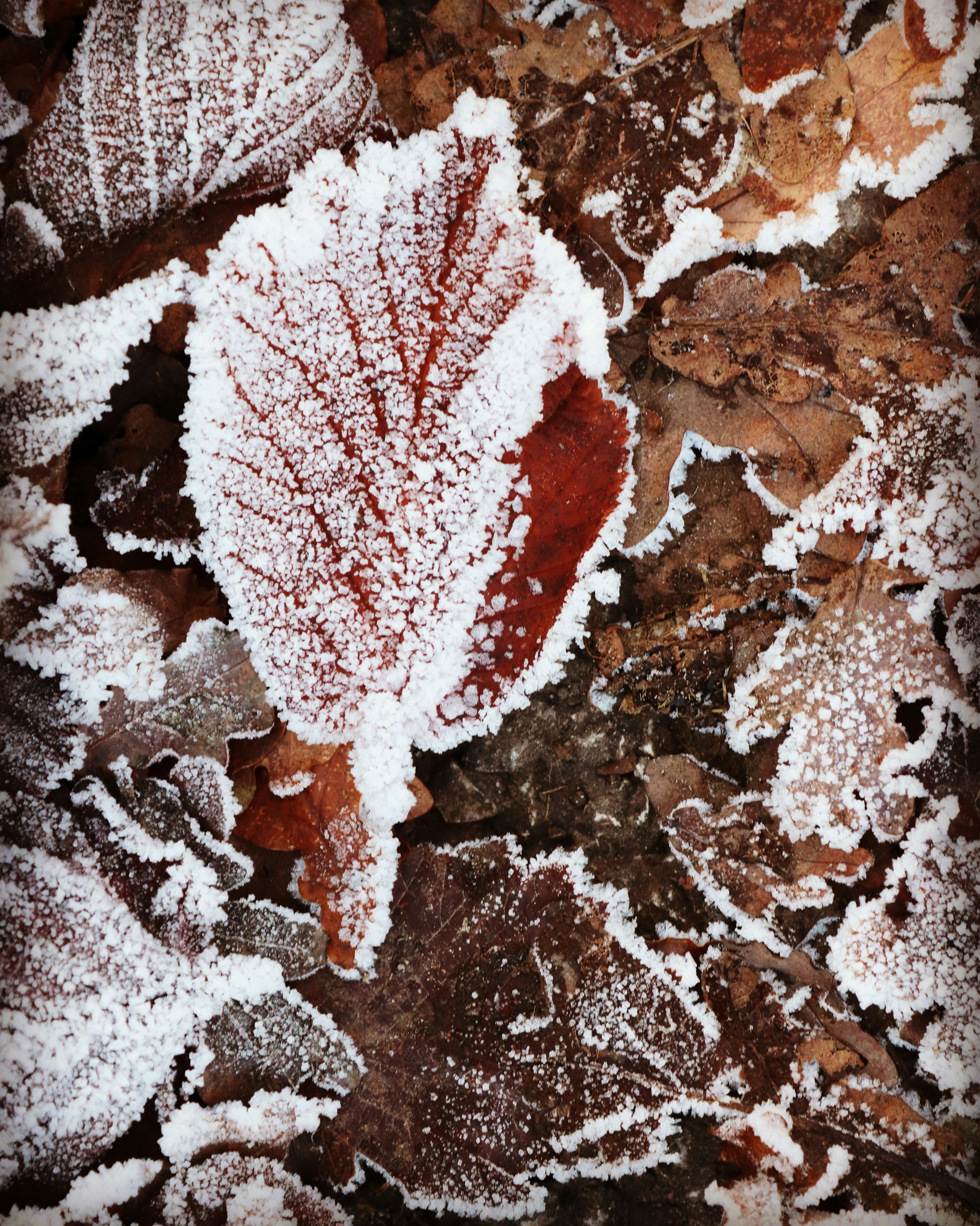 Photo by jonesyincphoto