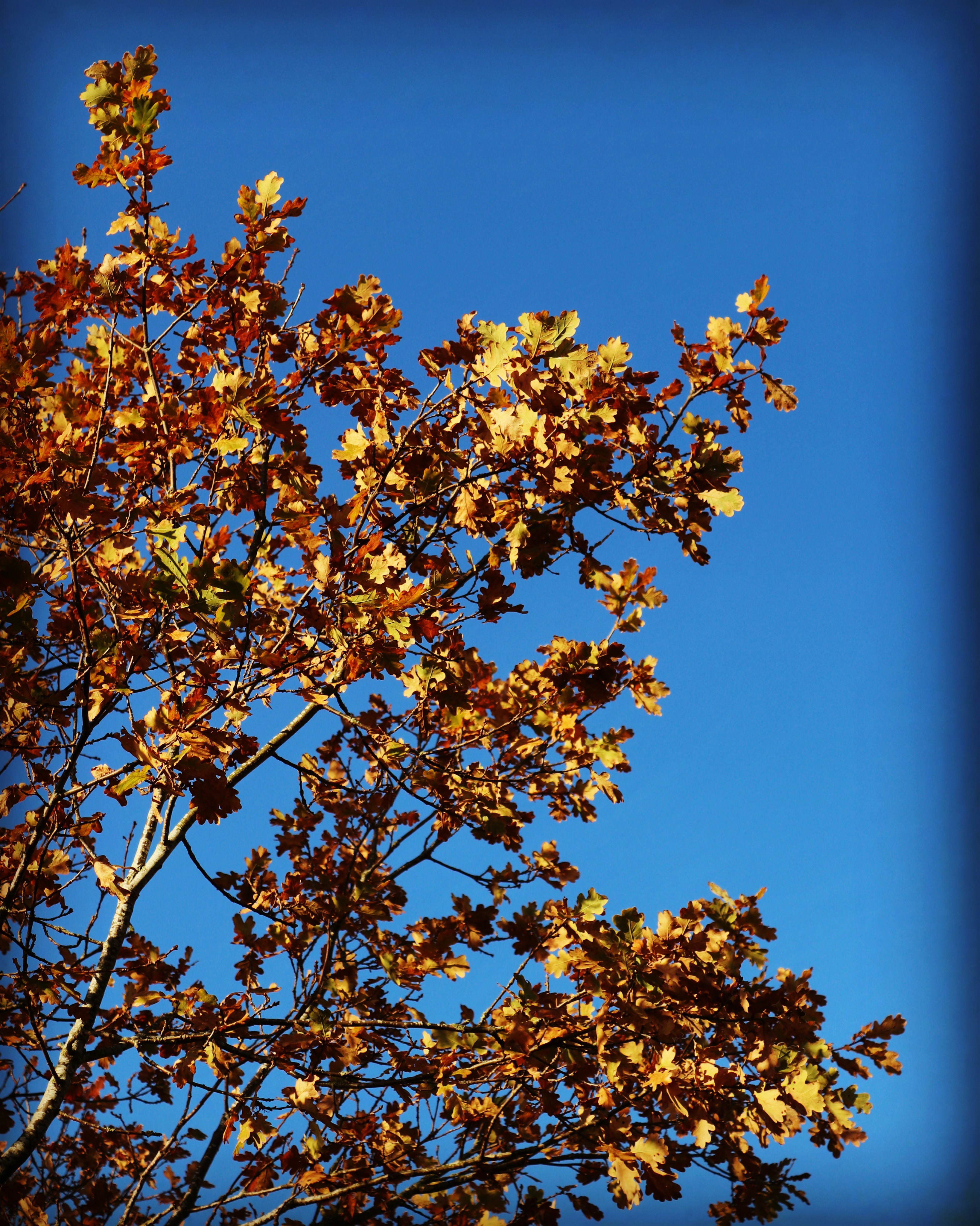 Photo by jonesyincphoto