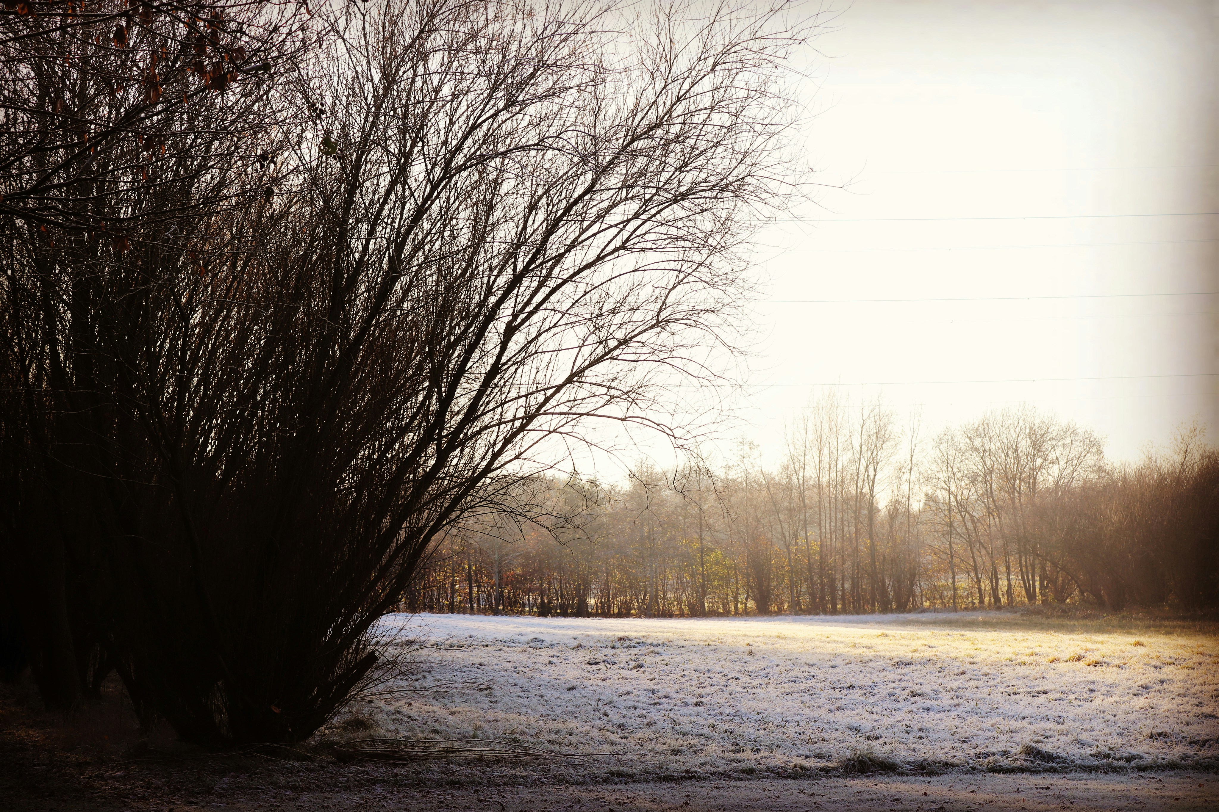 Photo by jonesyincphoto