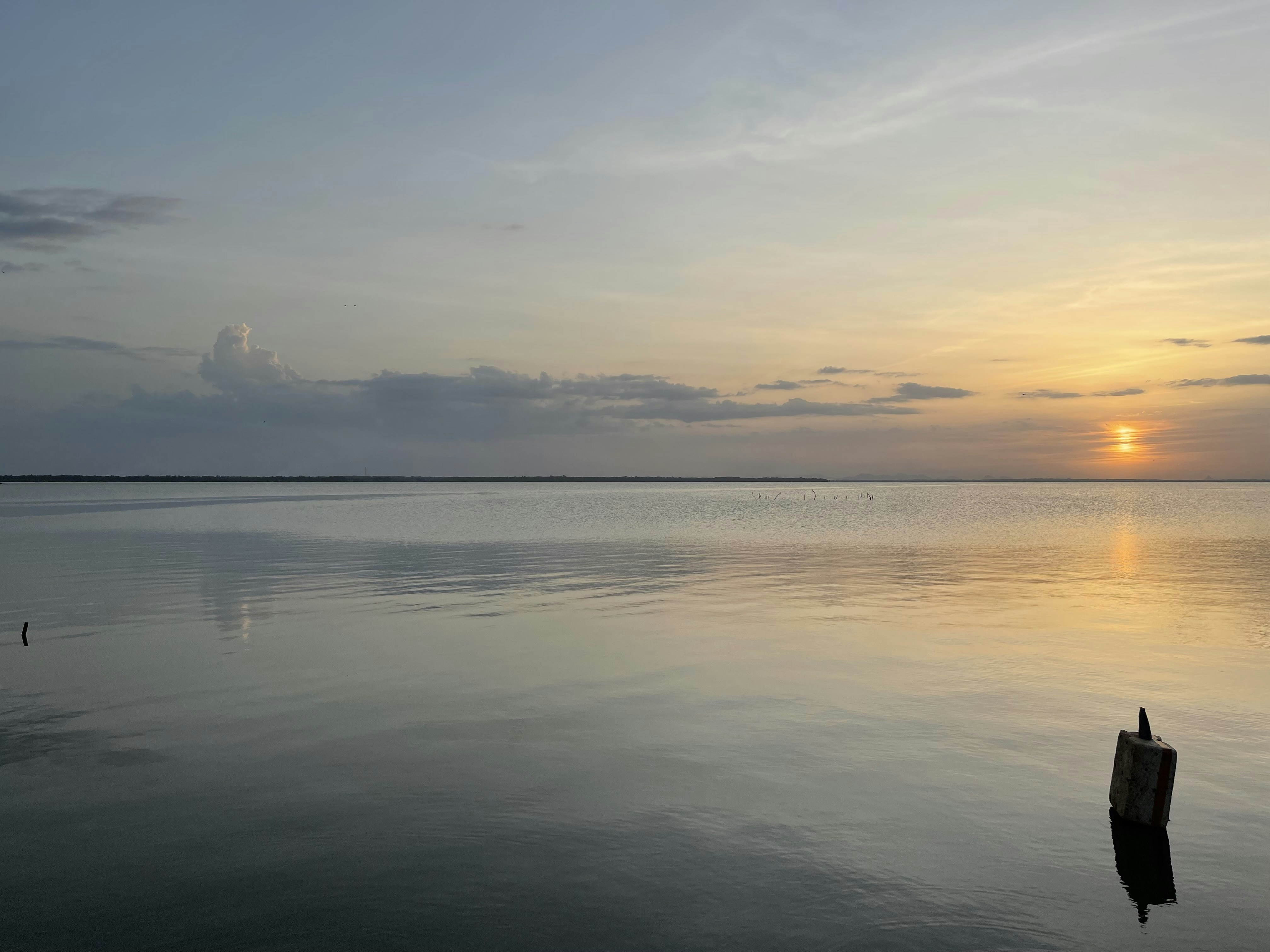 Photo by shamilasathiy