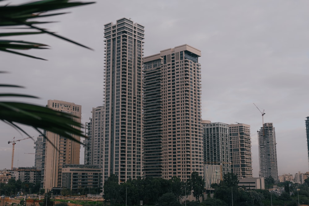 a group of tall buildings