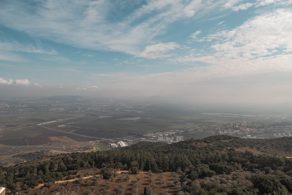 a landscape with trees and a body of water in the distance