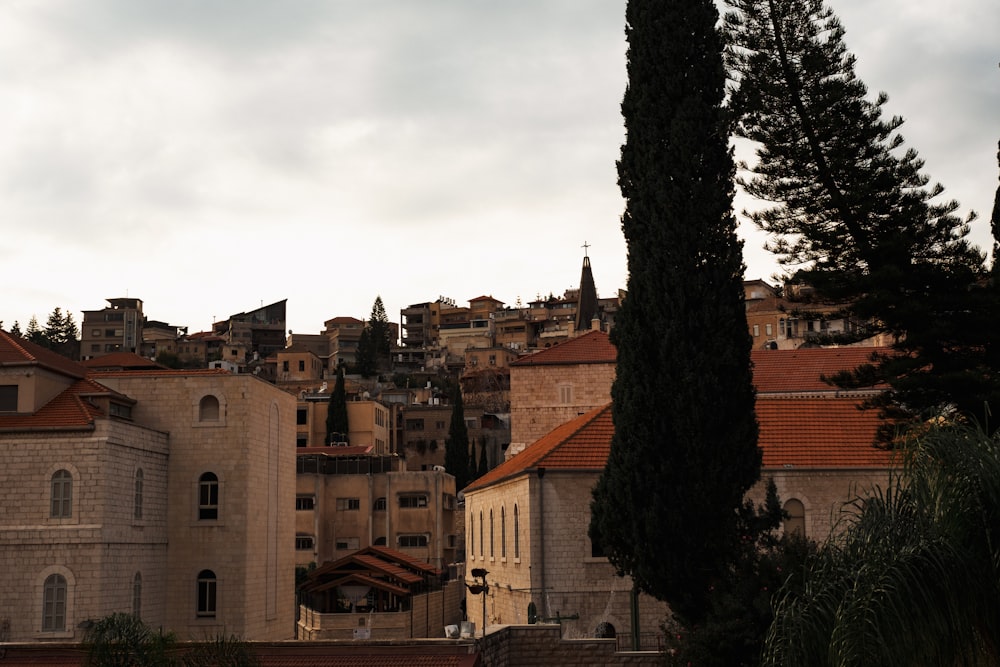 a group of buildings with trees in front of them