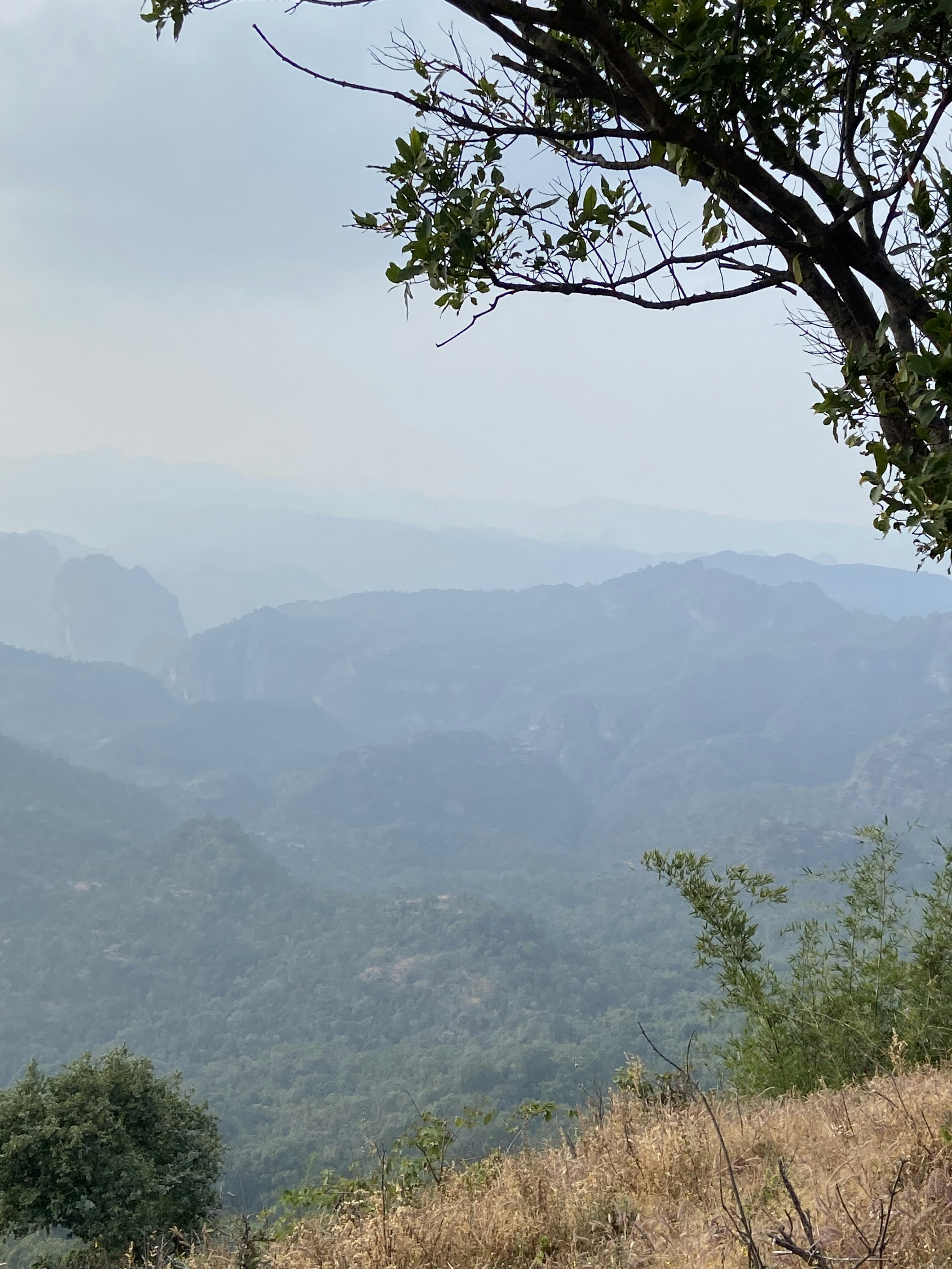 Photo by mysticmermaid