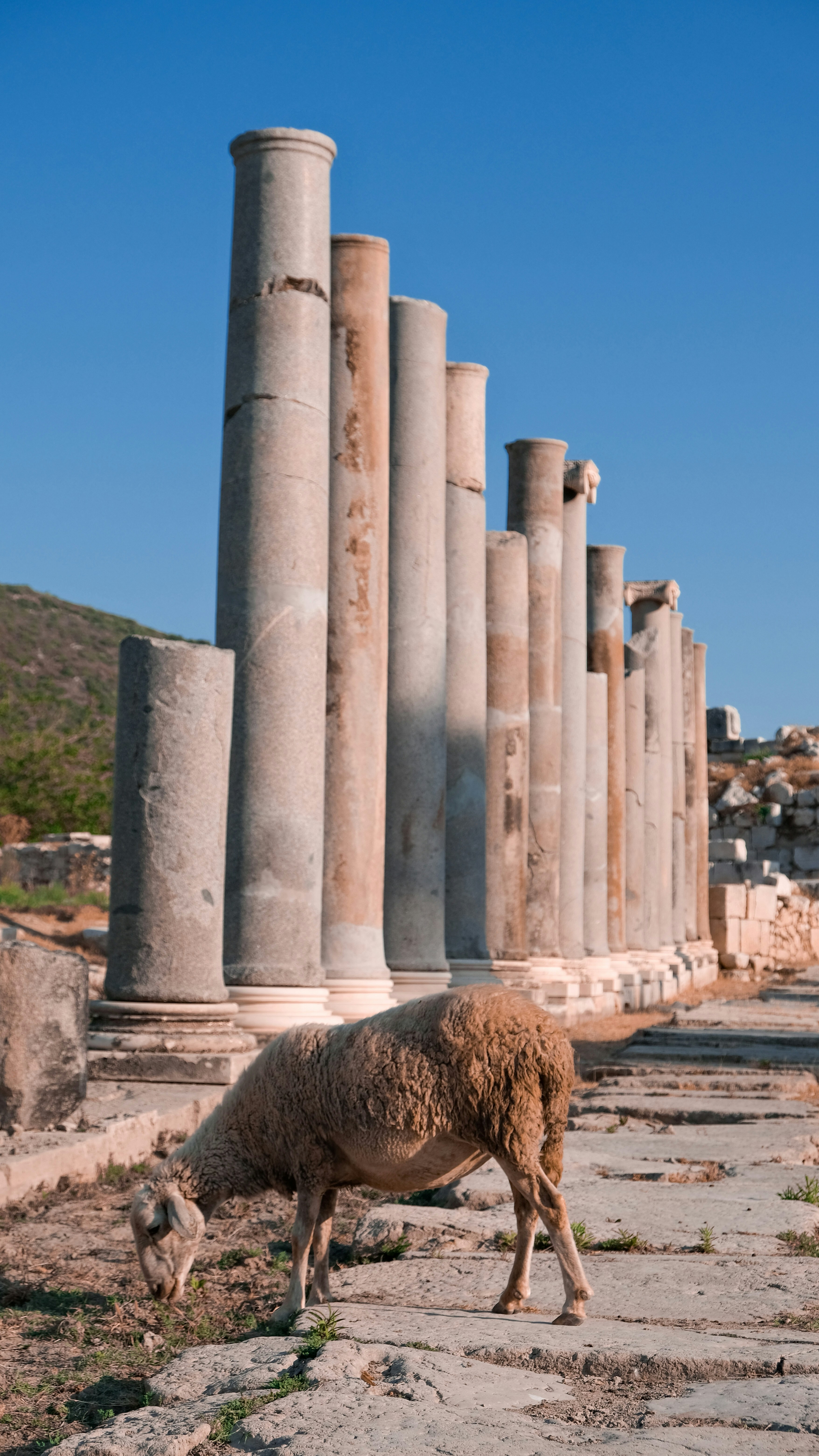 Photo by yunusemresahinoglu