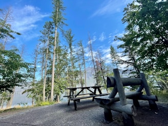 Outdoor deck with seating surrounded by tall whispering pines under a clear sky.