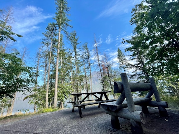 Outdoor deck with seating surrounded by tall whispering pines under a clear sky.