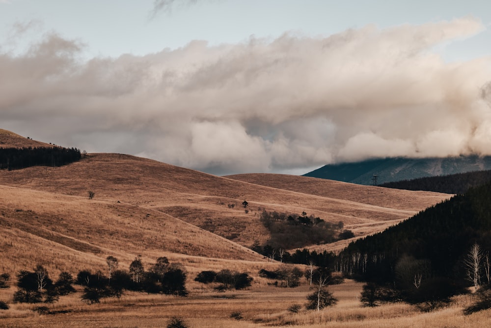 a landscape with hills and trees