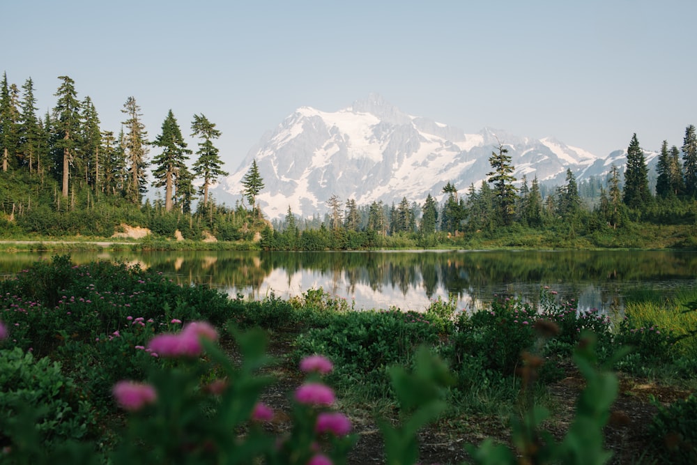 a lake with trees and flowers in front of a mountain