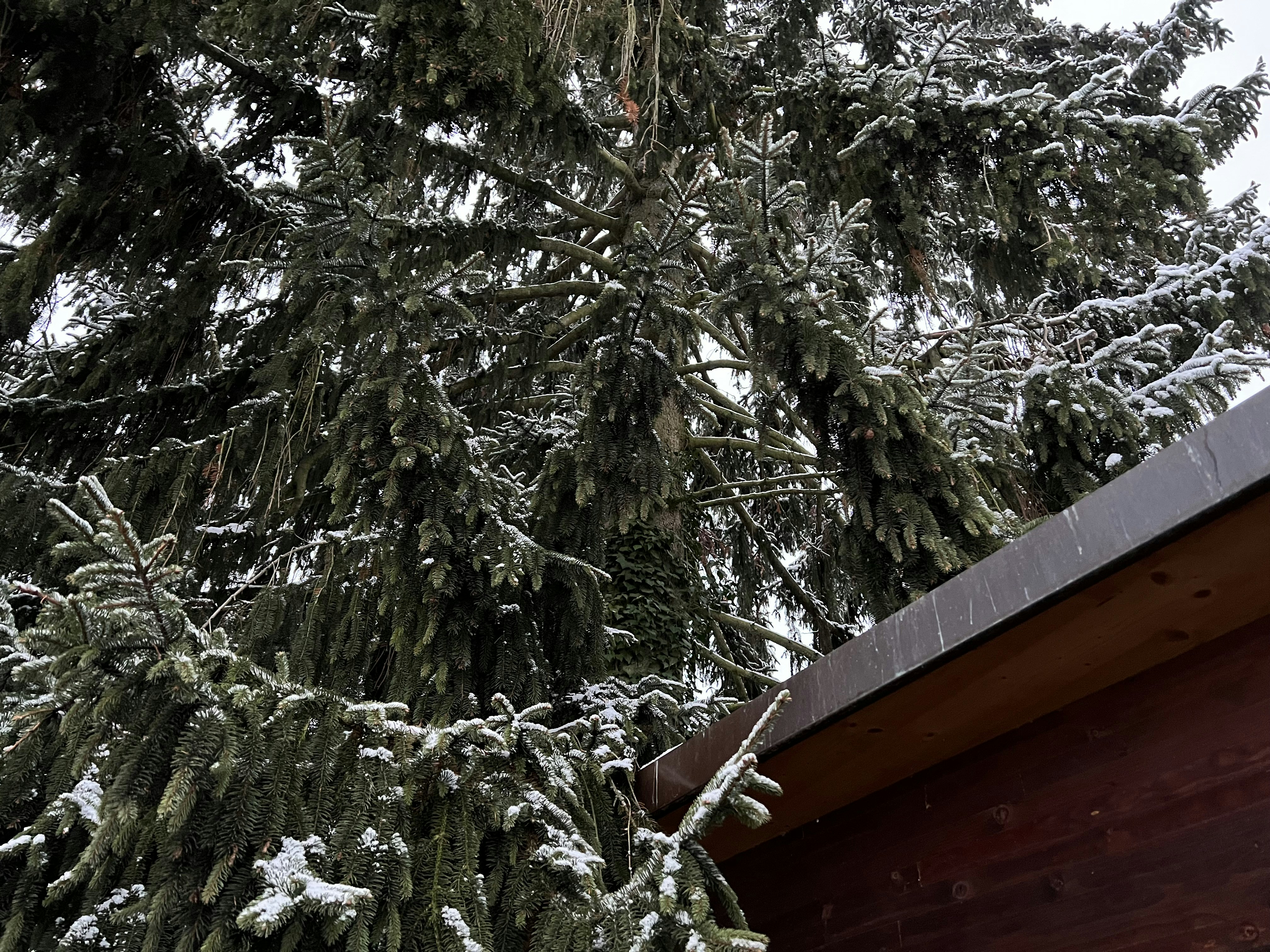 Photo by breweries13