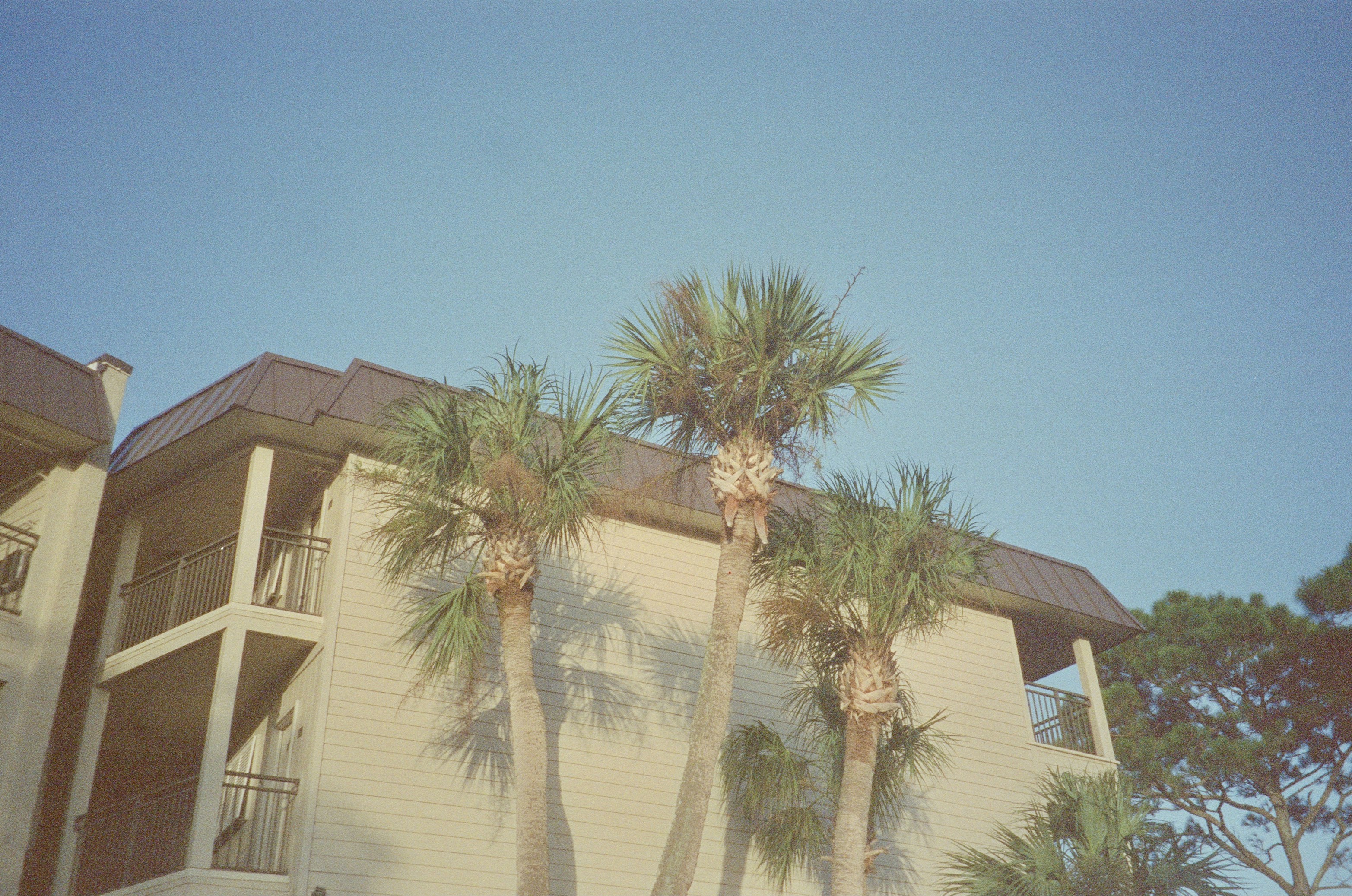 a building with palm trees