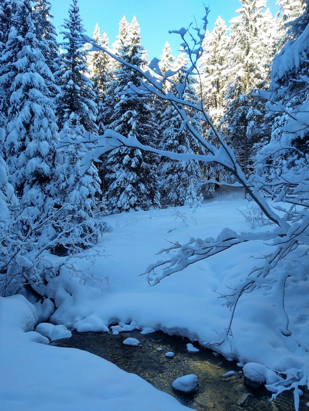 a river with snow on the banks