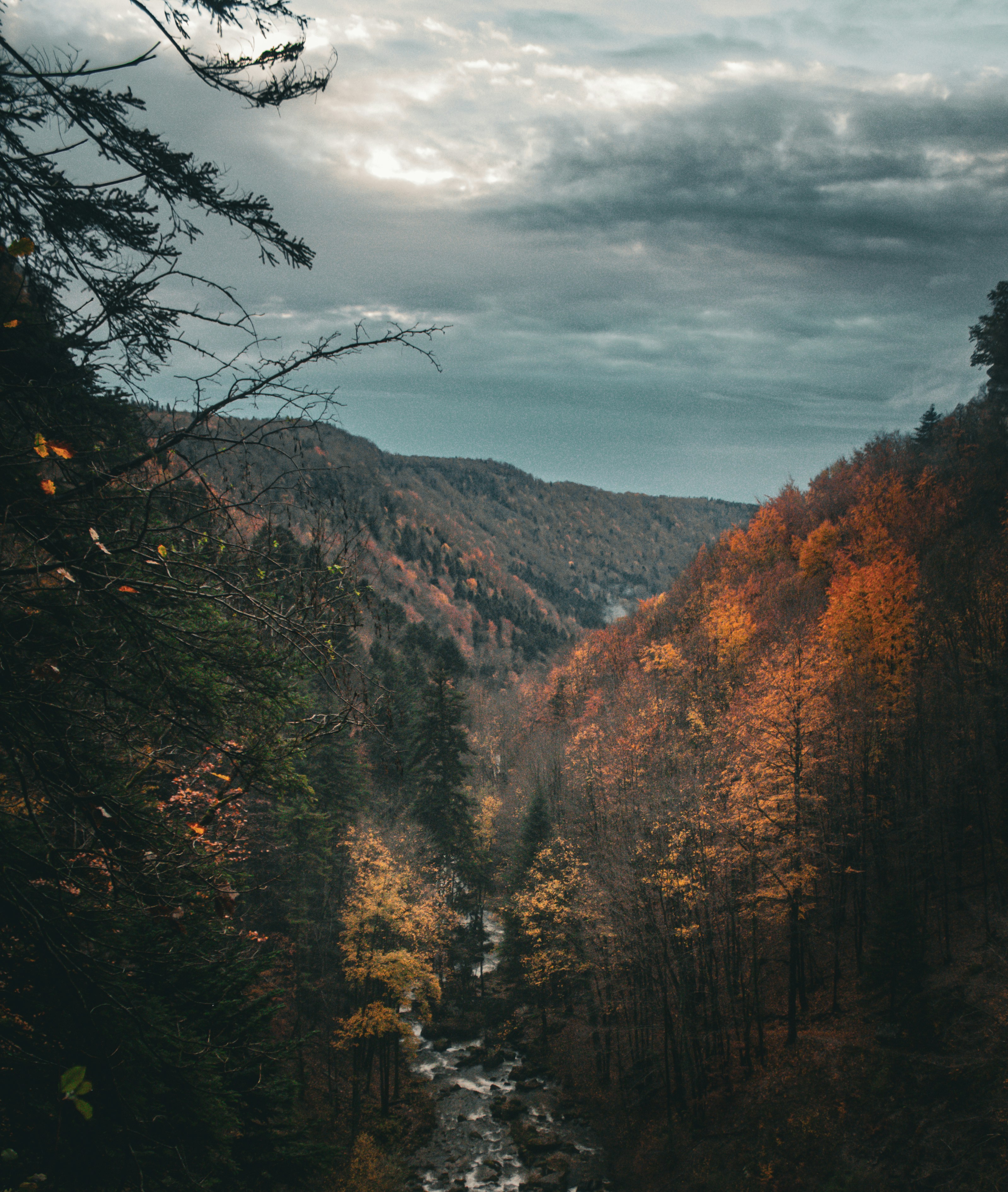 Photo by beautyhunter