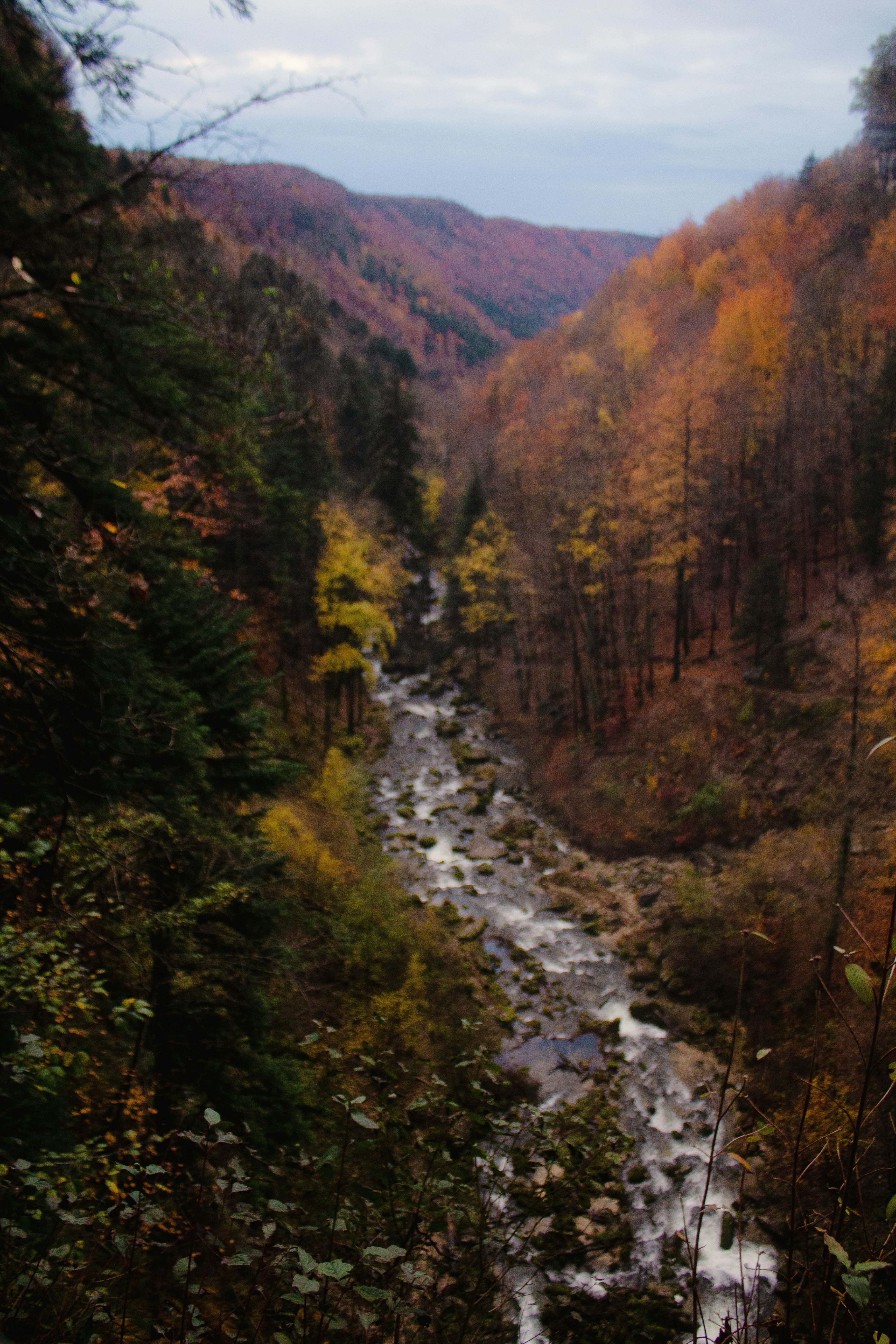 Photo by beautyhunter