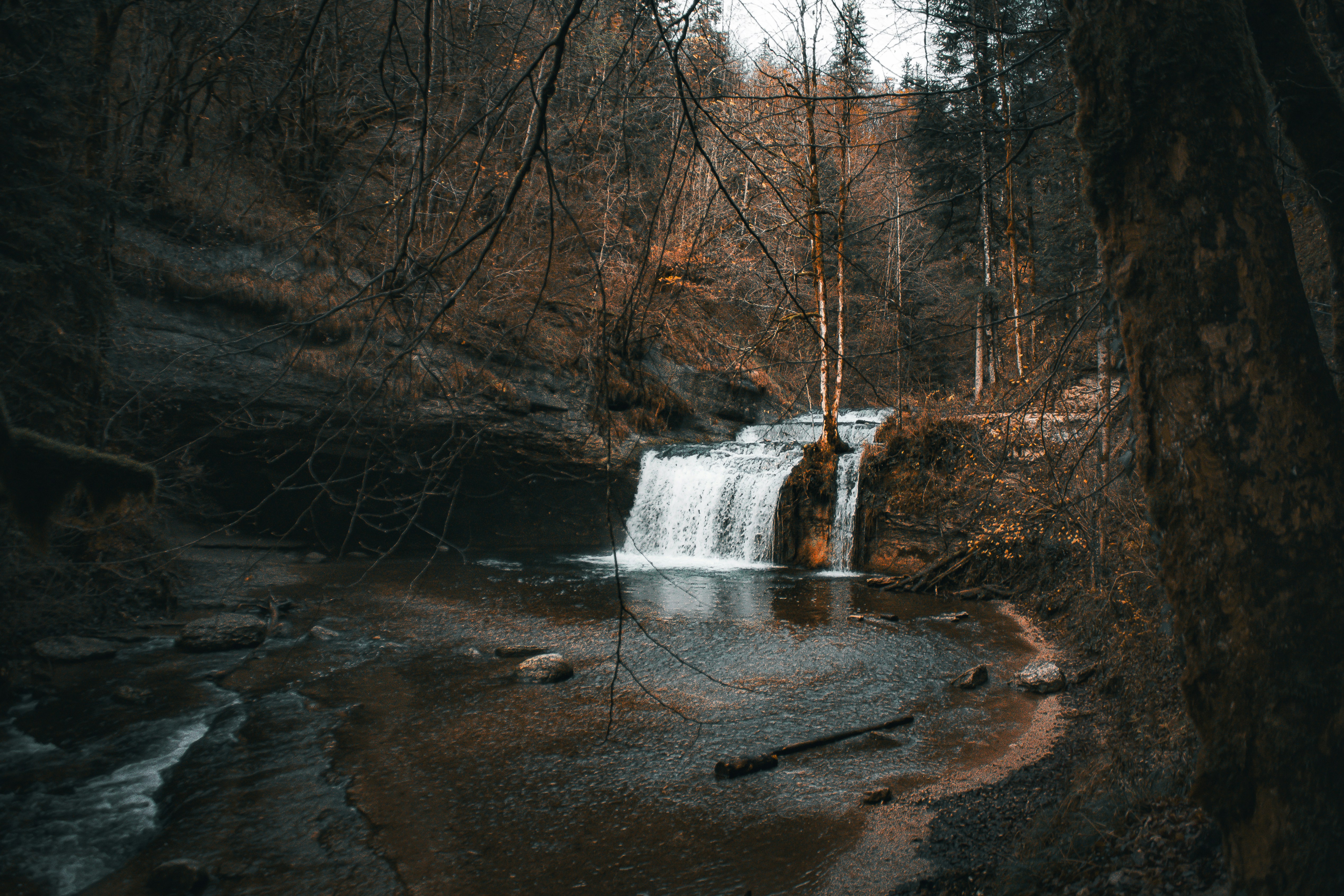 Photo by beautyhunter