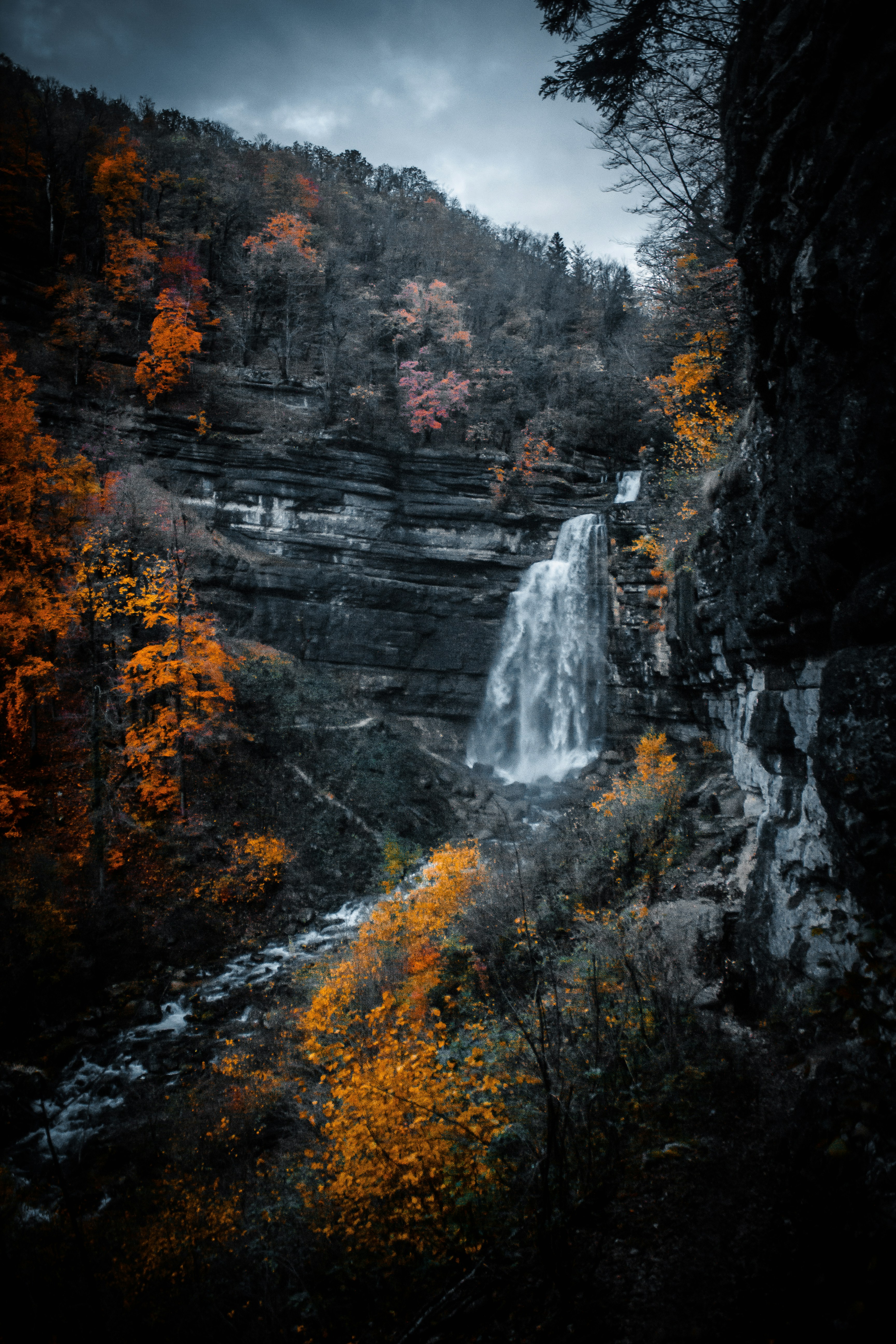 Photo by beautyhunter