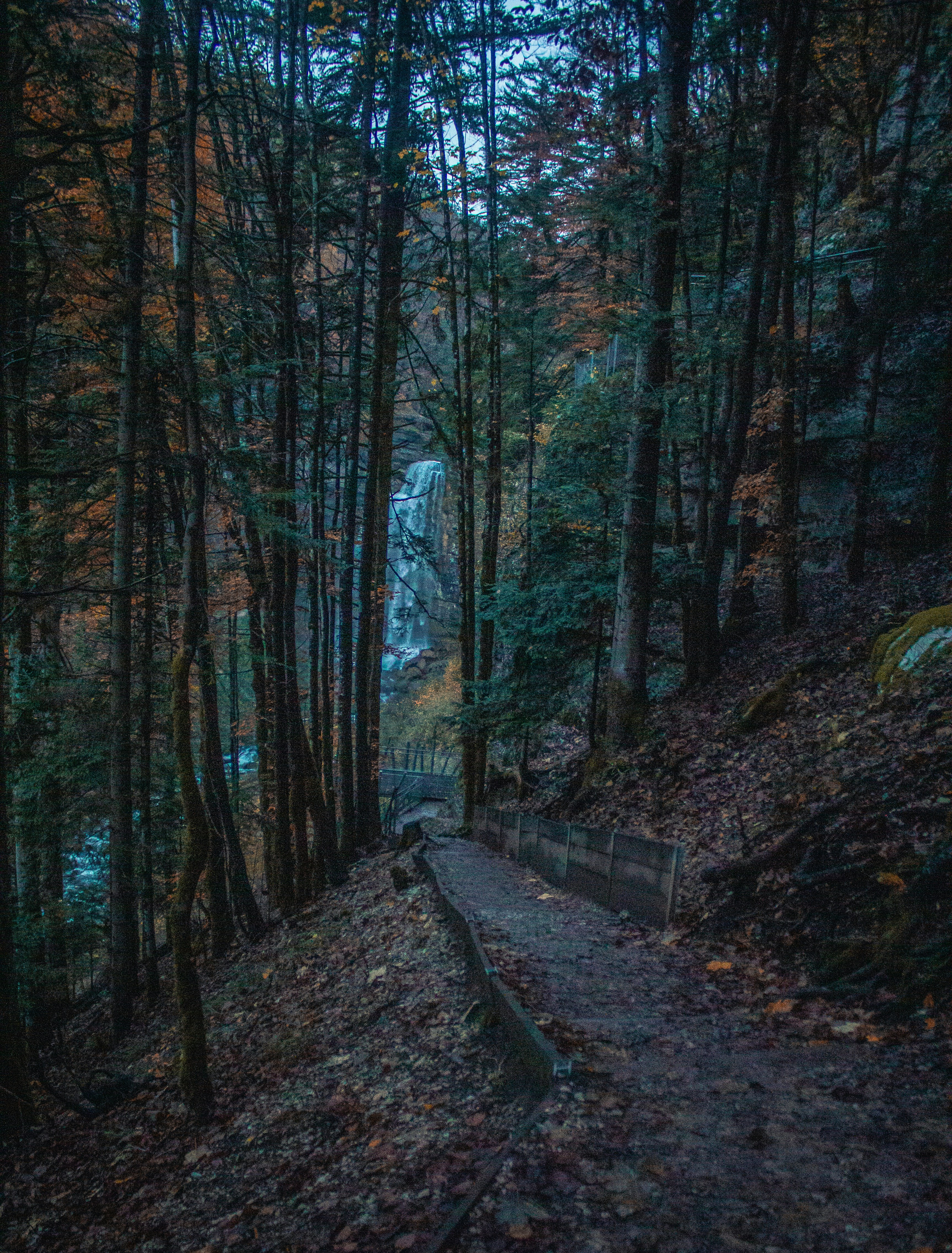 Photo by beautyhunter