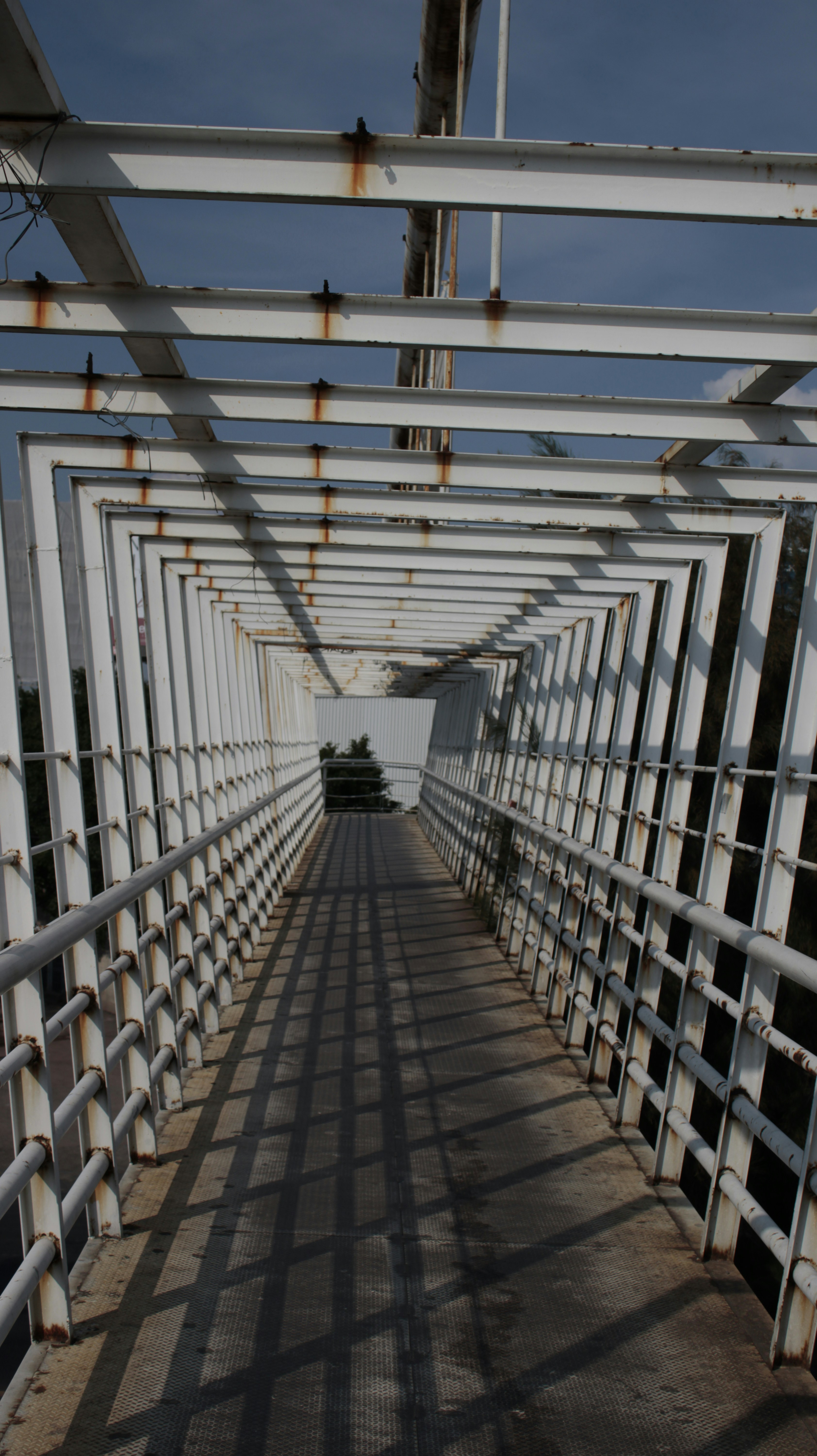 Photo by tasteless_007