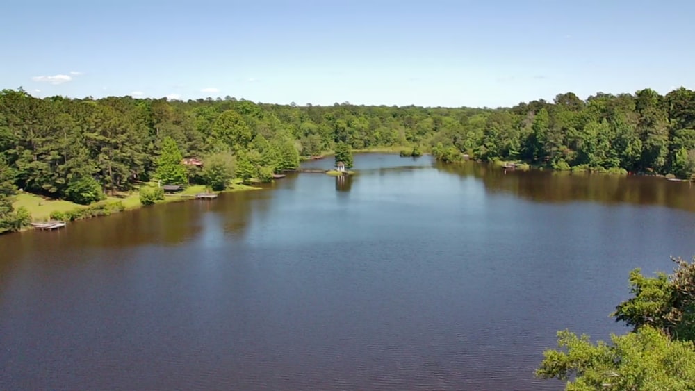 a body of water surrounded by trees