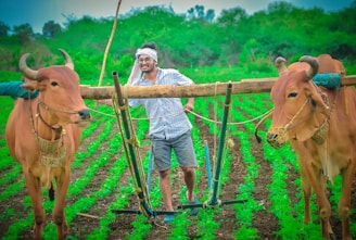 A cheerful farmer working in a small field.