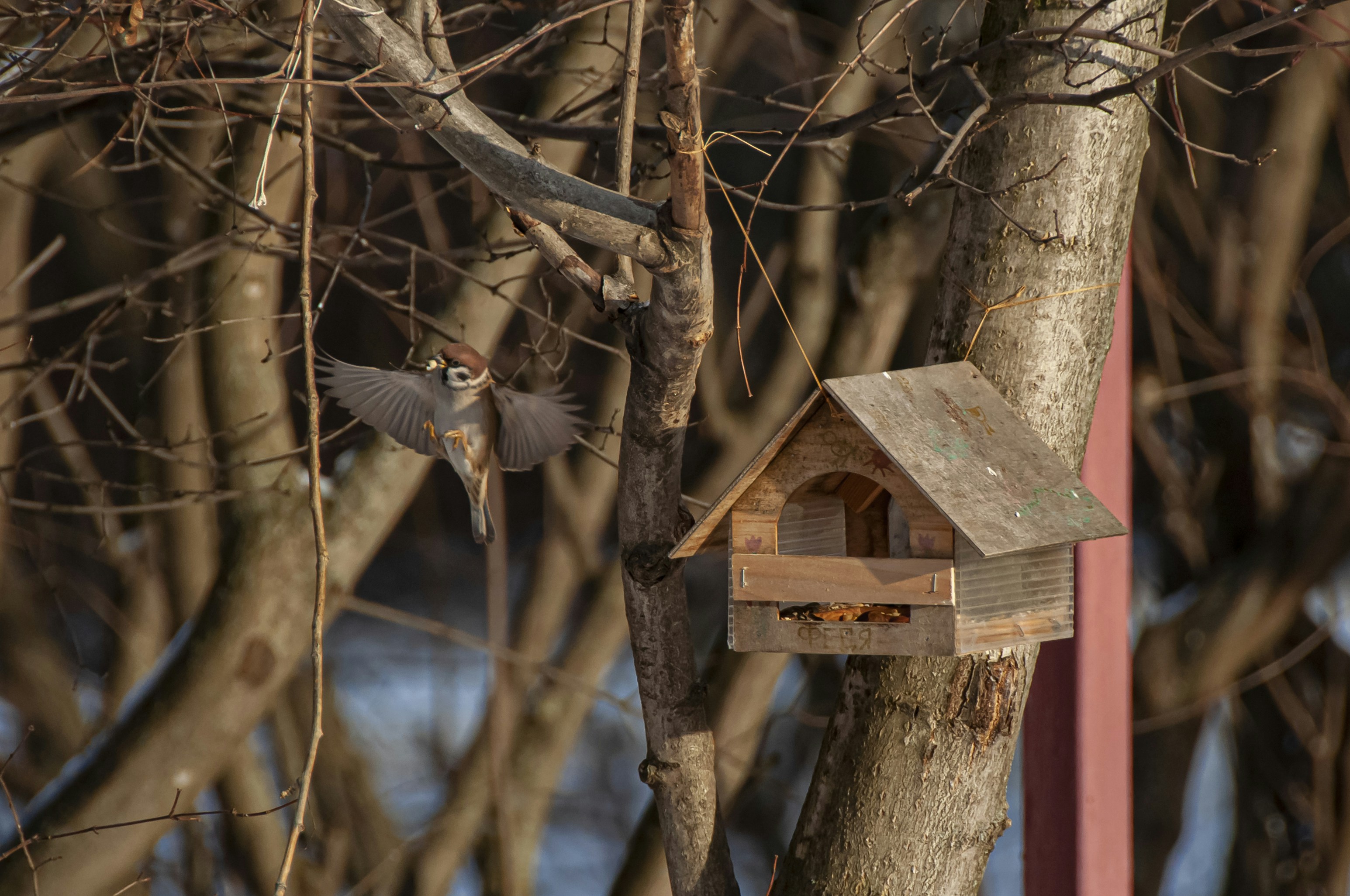 Photo by nikkitenkos