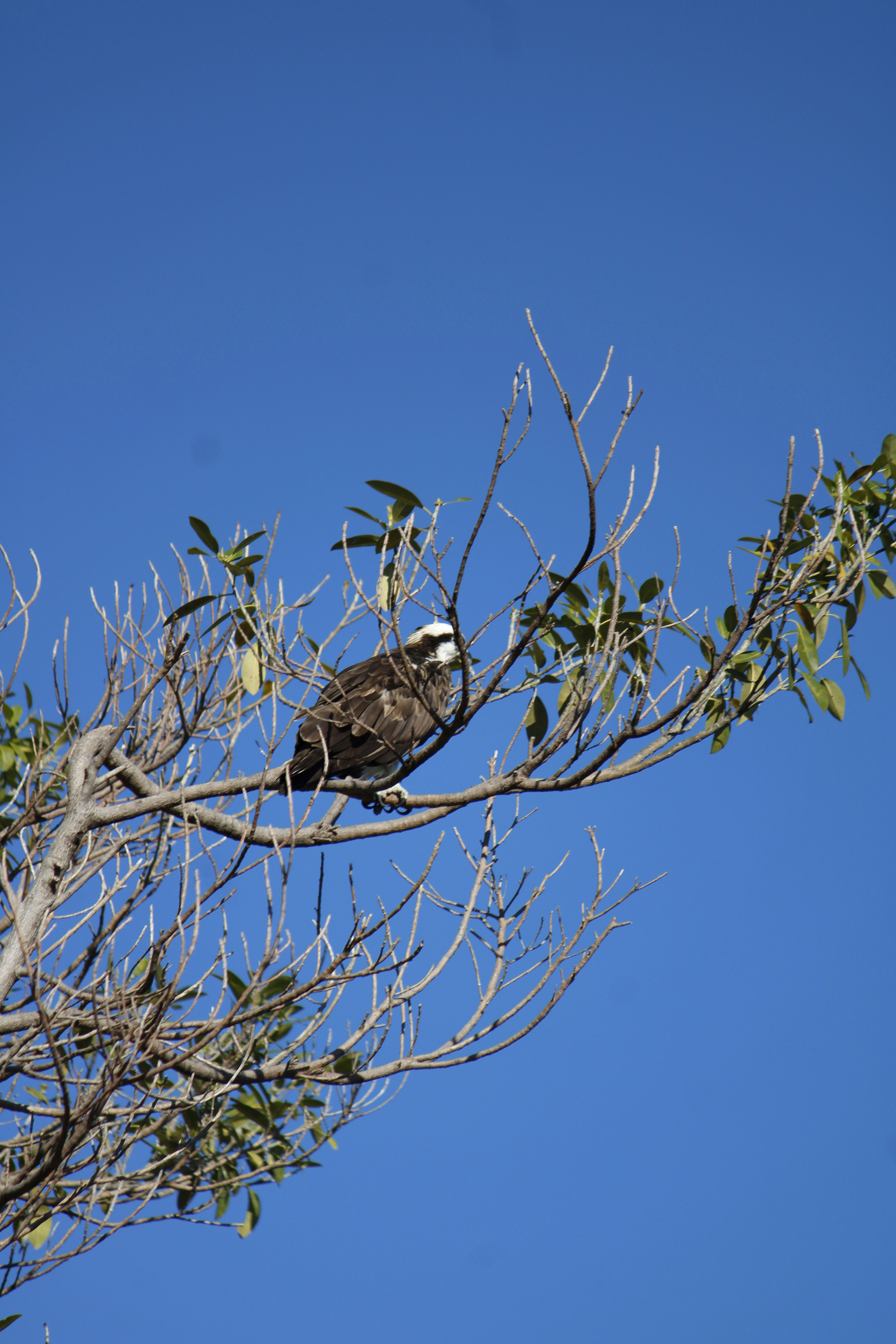 Photo by tasteless_007