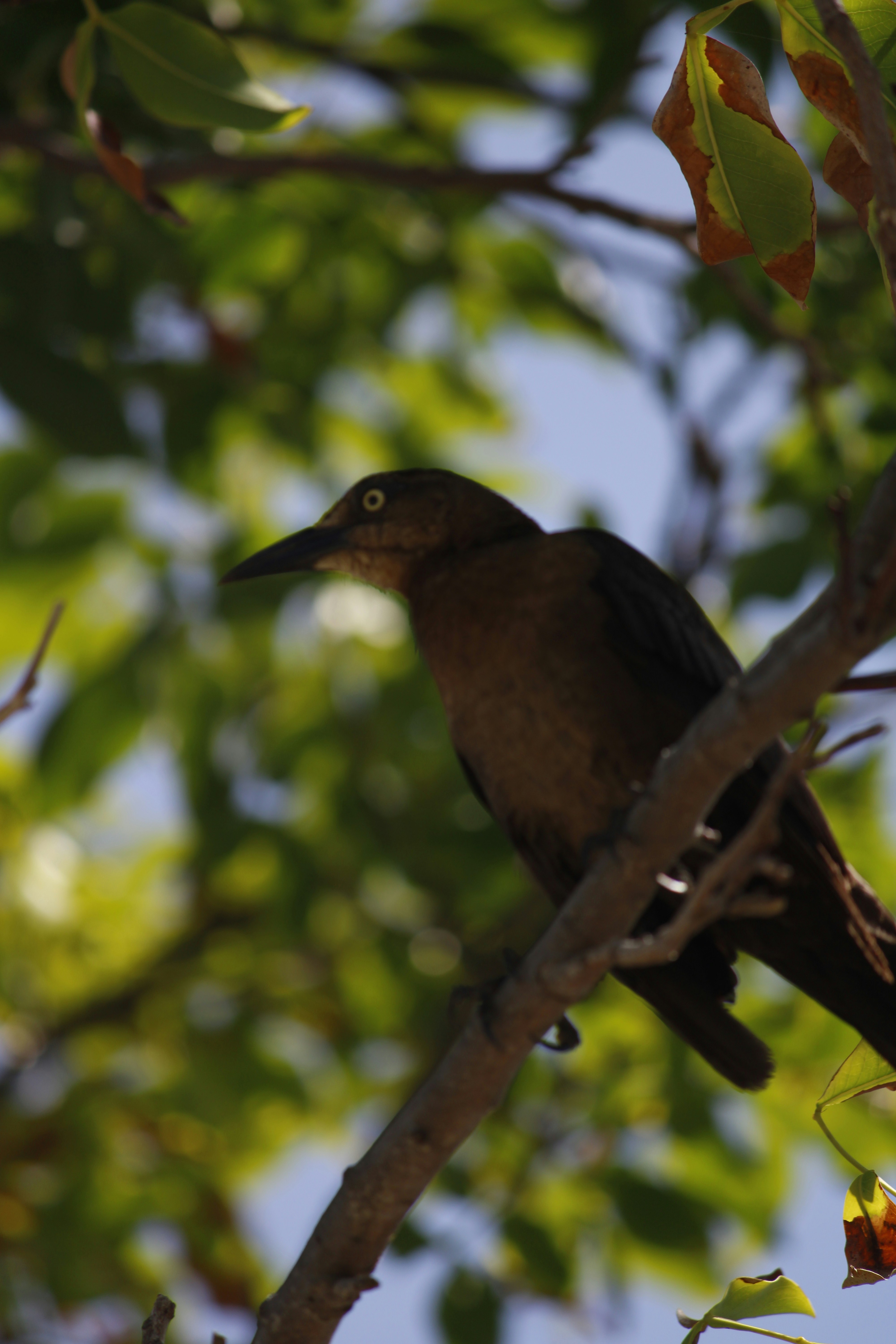 Photo by tasteless_007