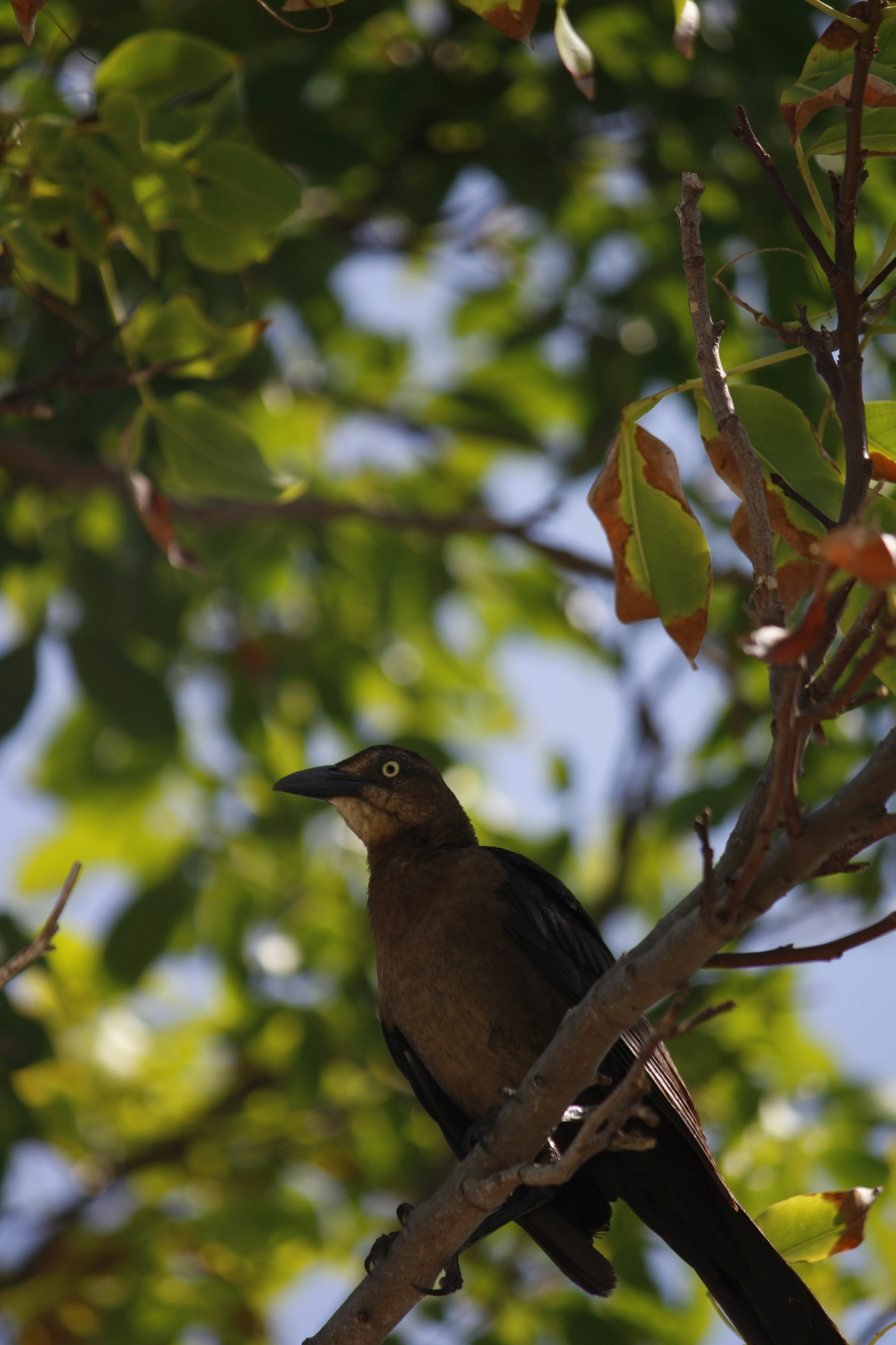 Photo by tasteless_007