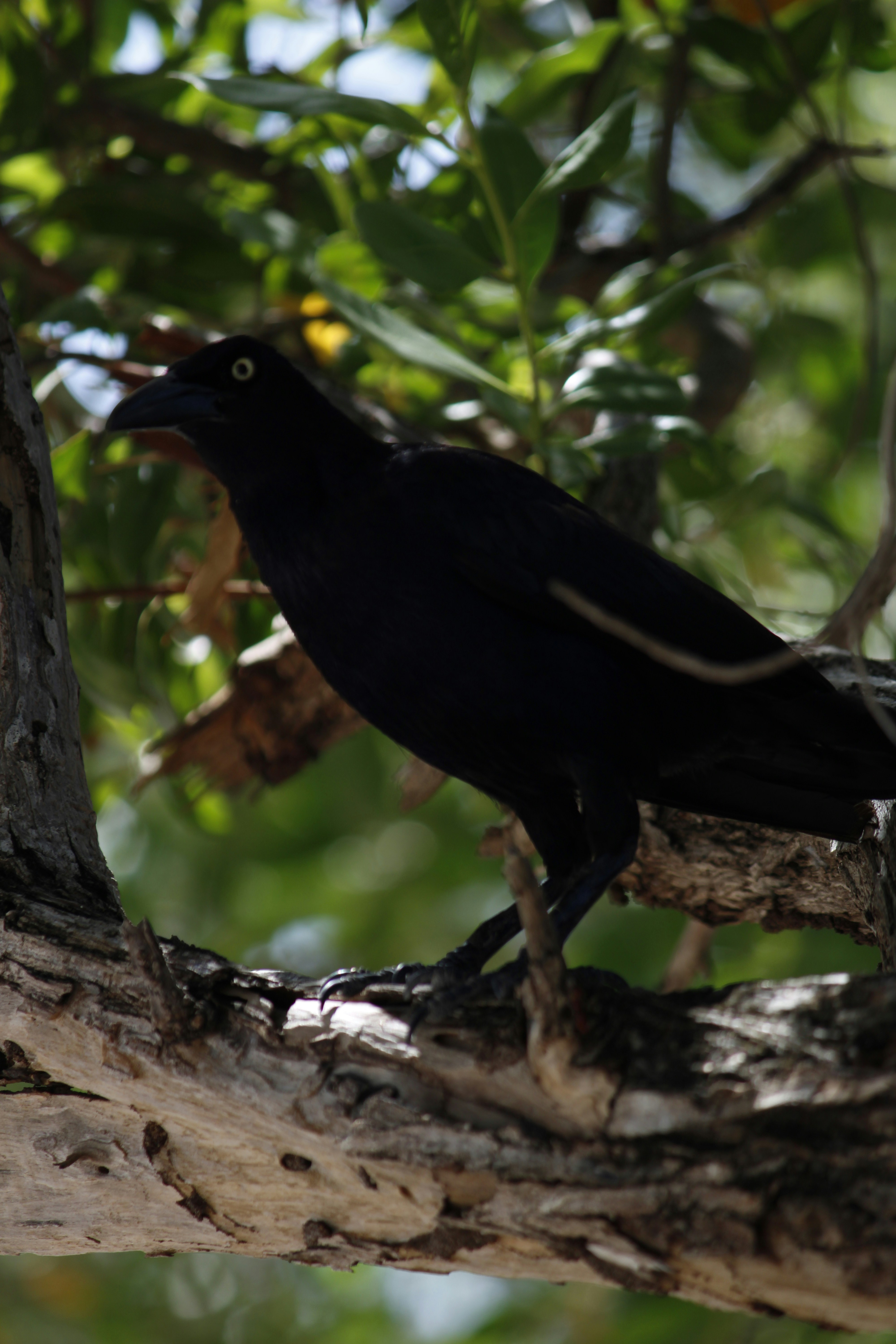 Photo by tasteless_007