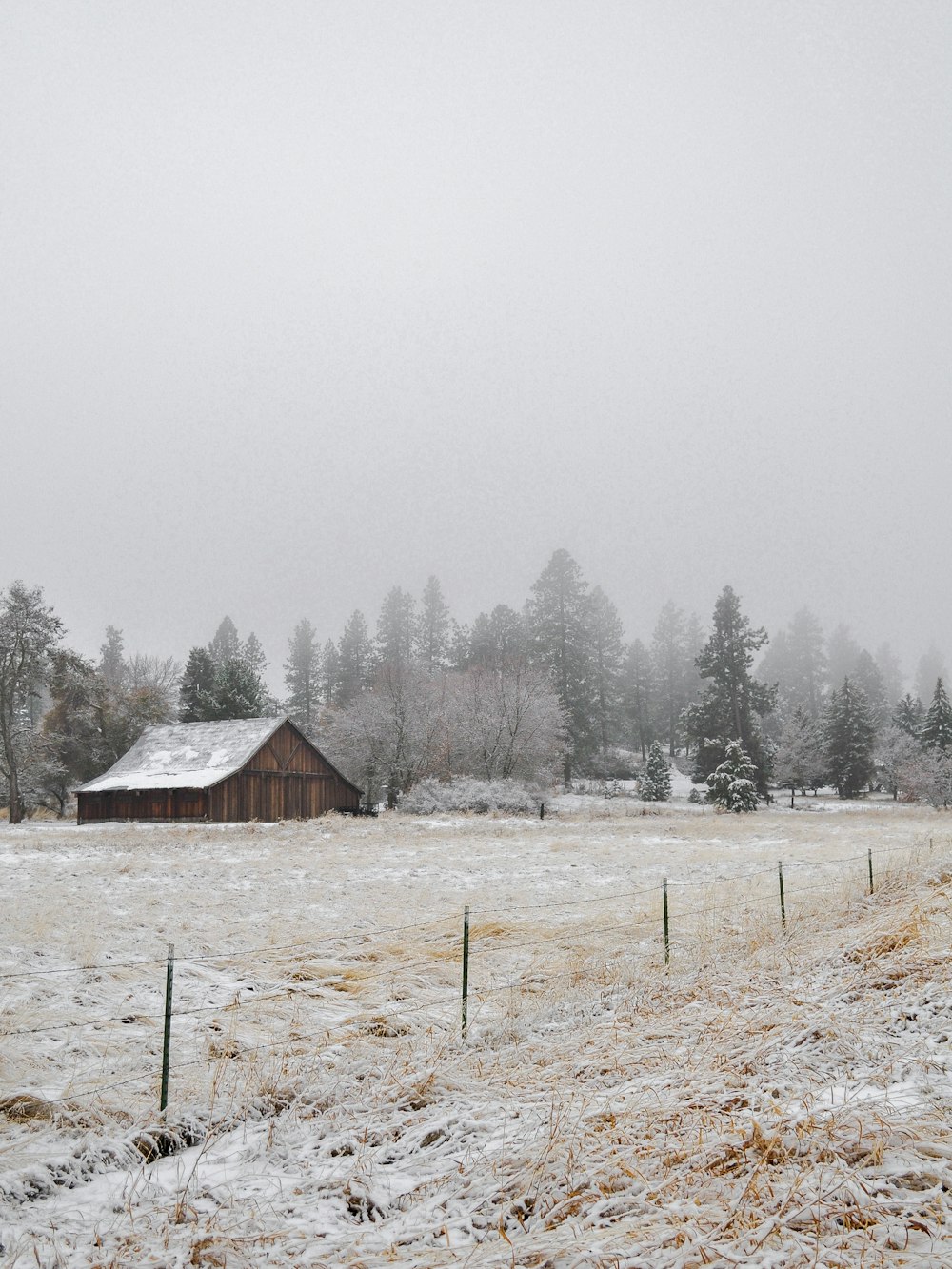 a barn in a snowy field