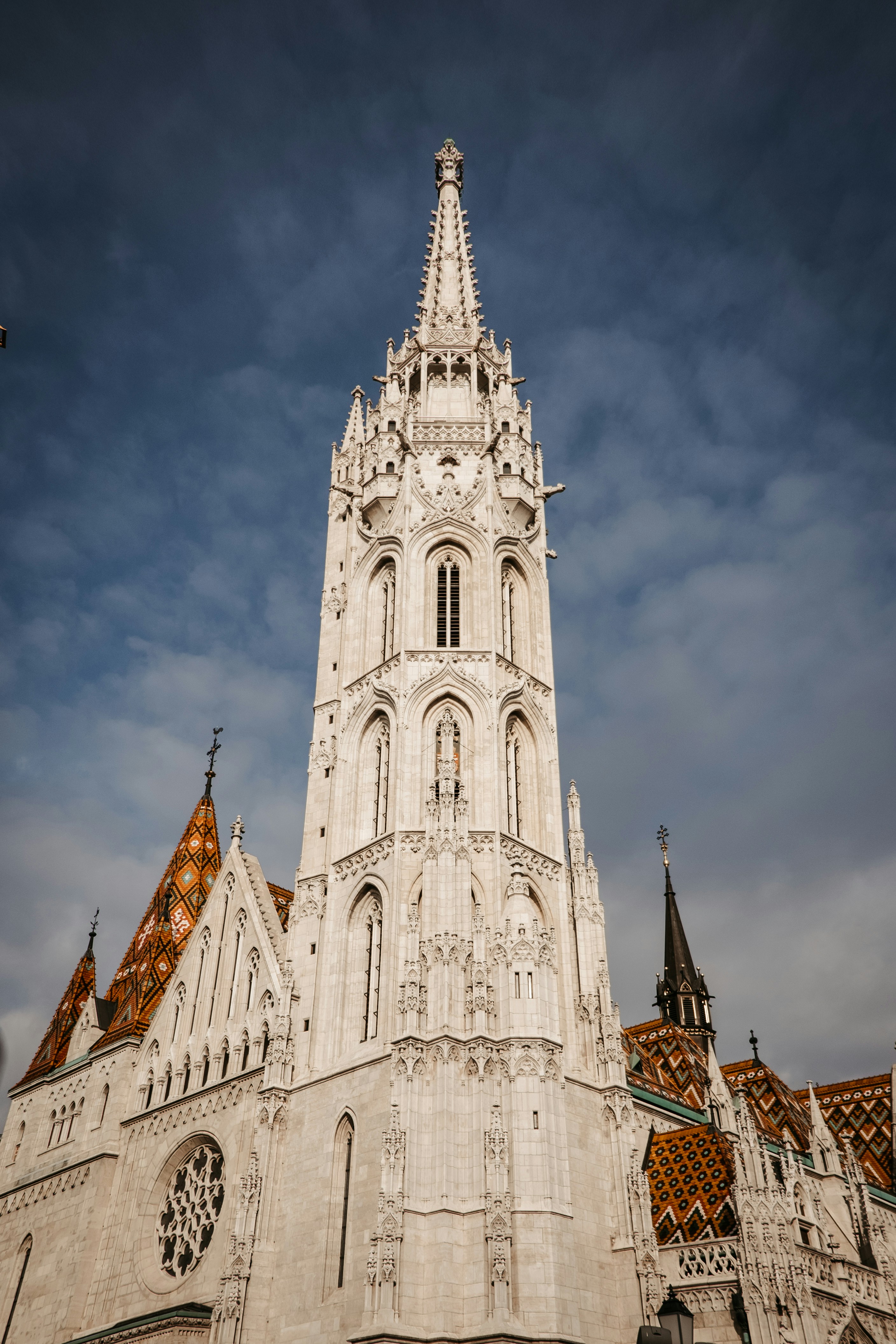 Photo by 17allansfilms