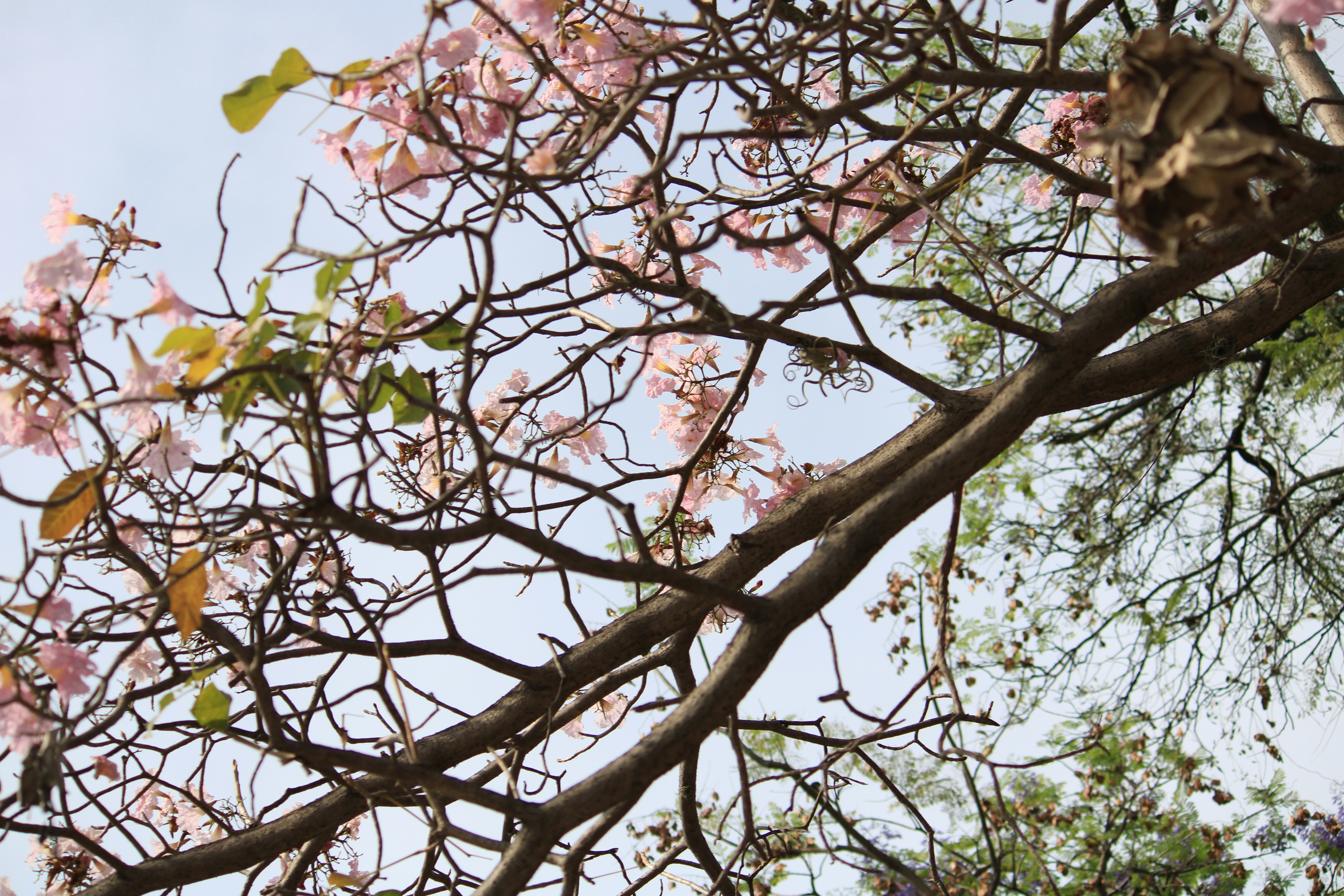 Photo by tasteless_007