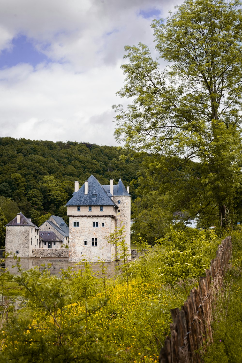 a castle on a hill