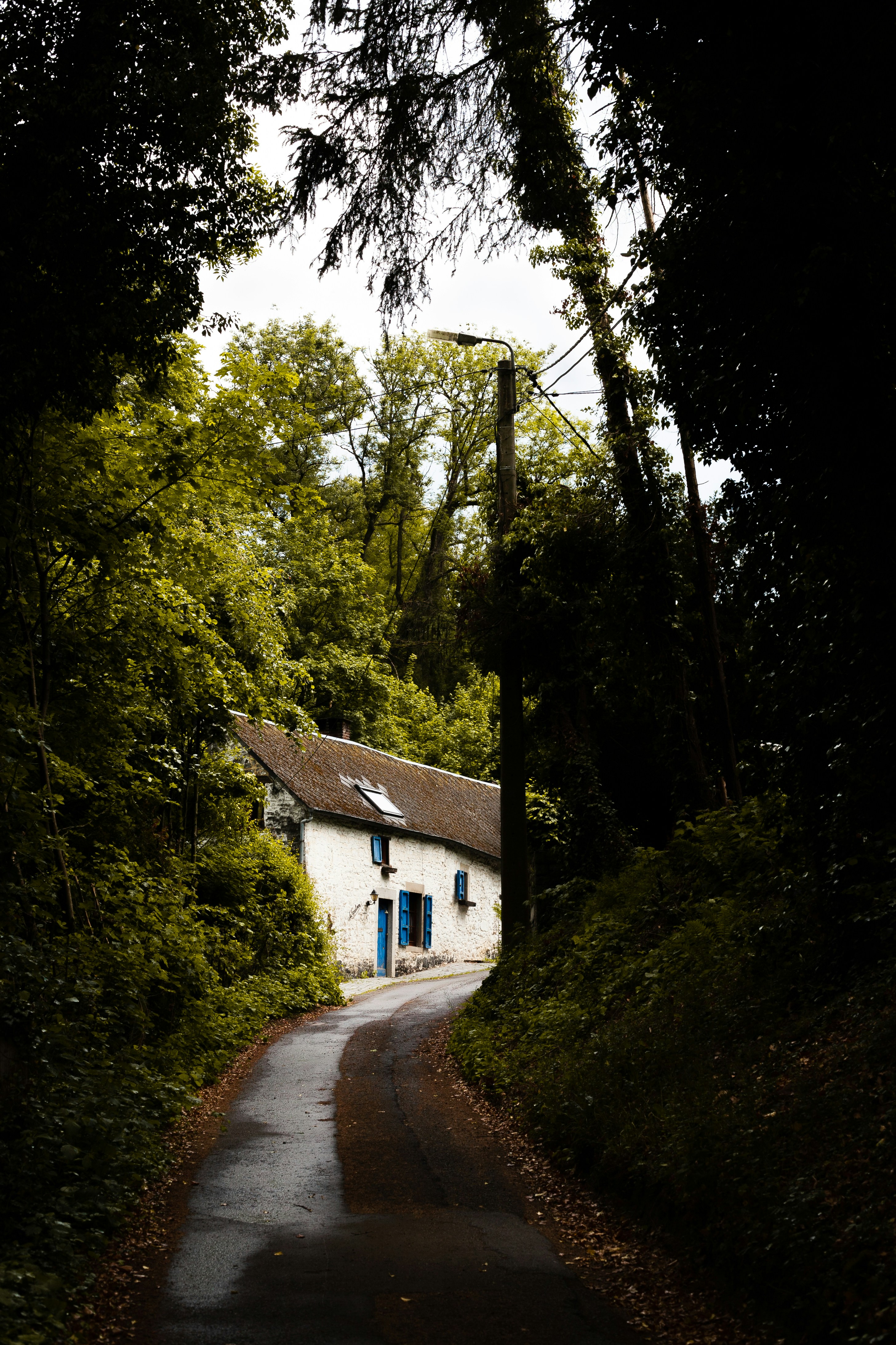 Photo by nilsbeaujot