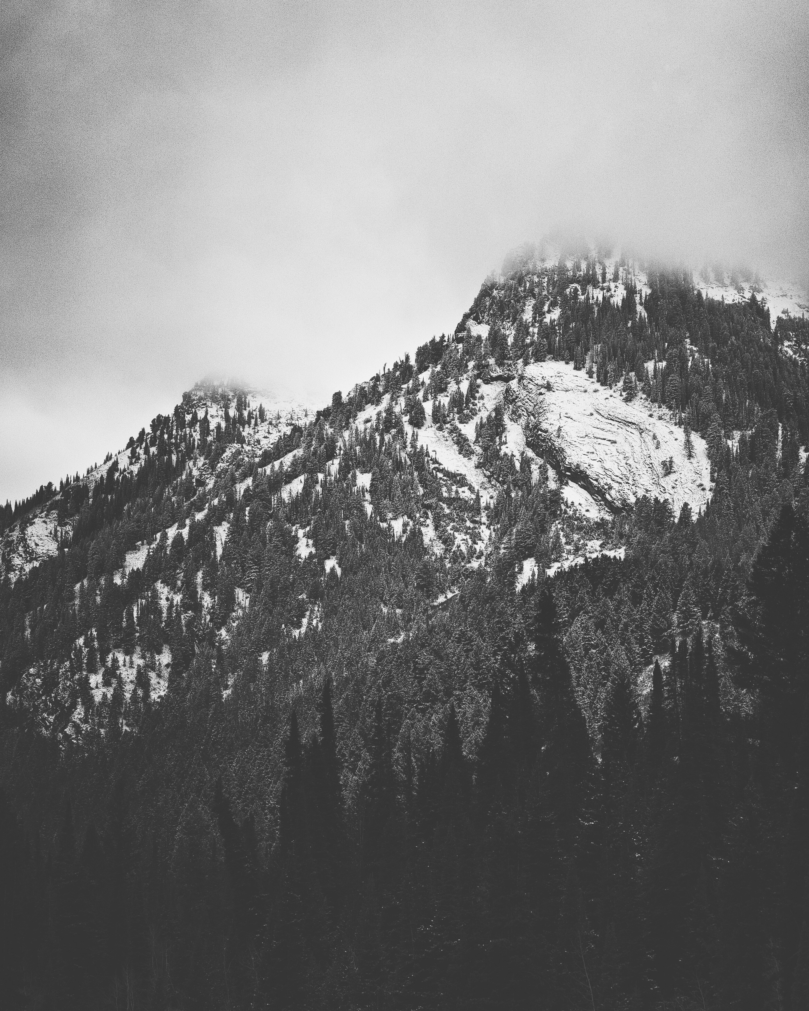 Photo by andrewmeehan