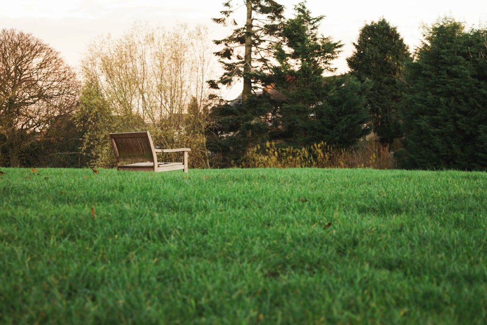 a bench in a grassy field