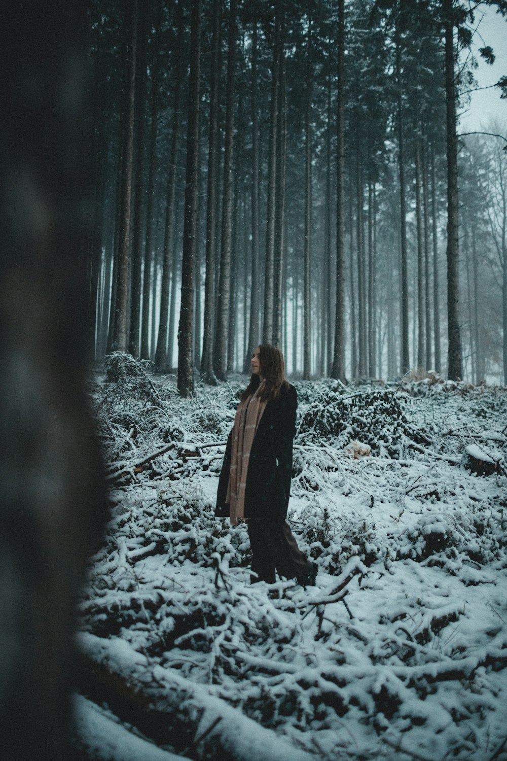 a person standing in a snowy forest
