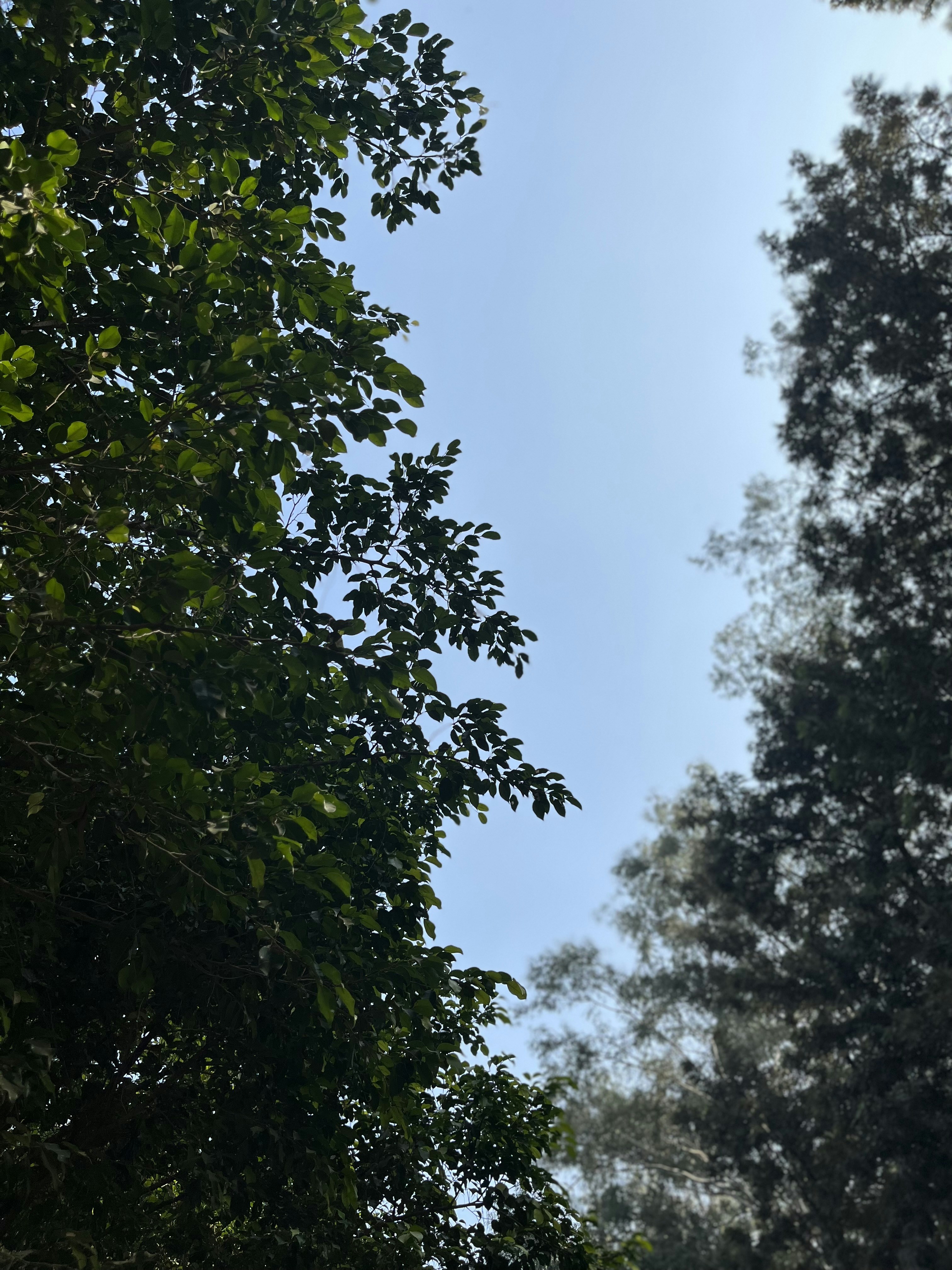 Photo by sherrysingh