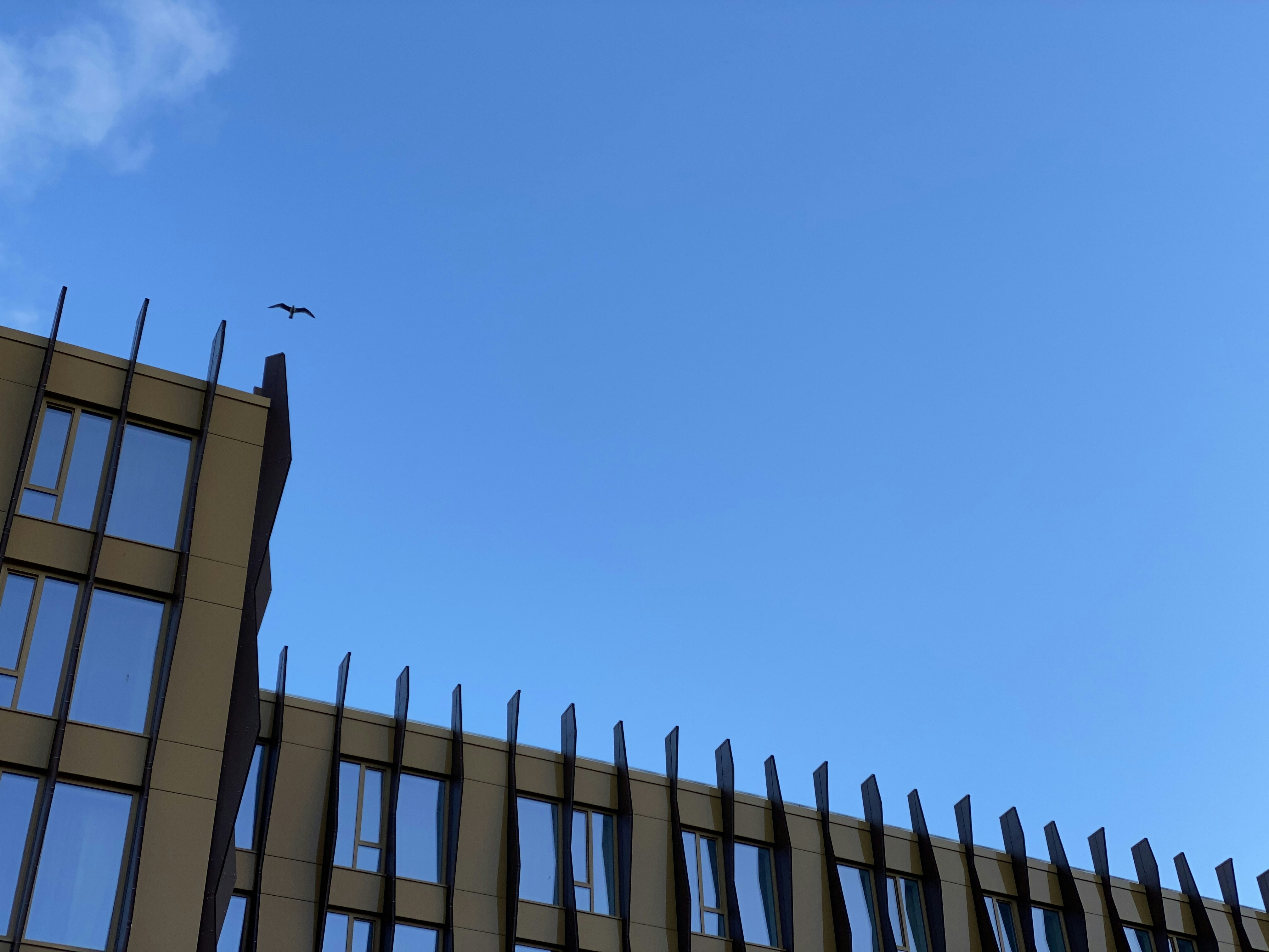 a plane flying over a building