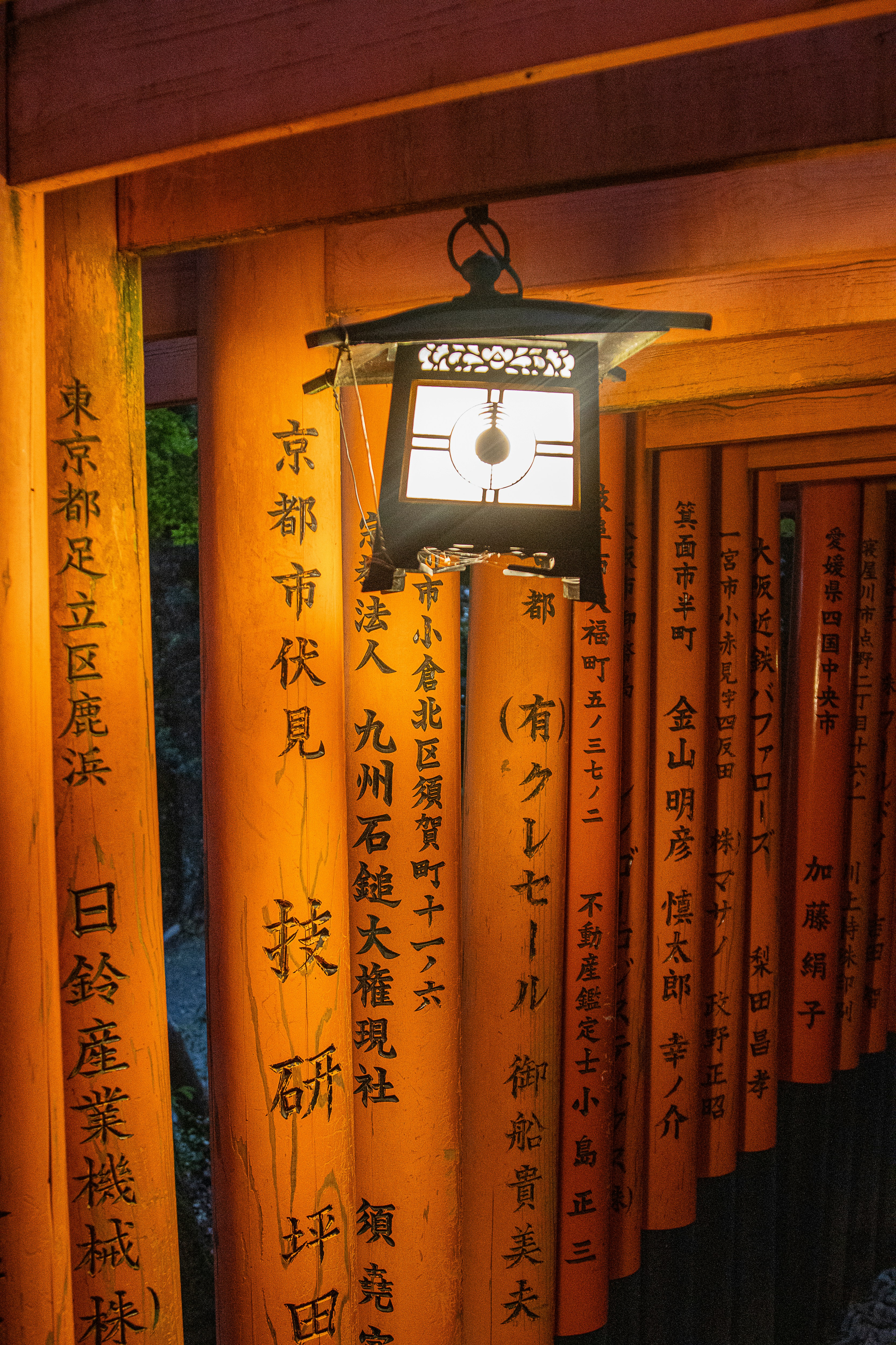 Photo by hitthetrailjack