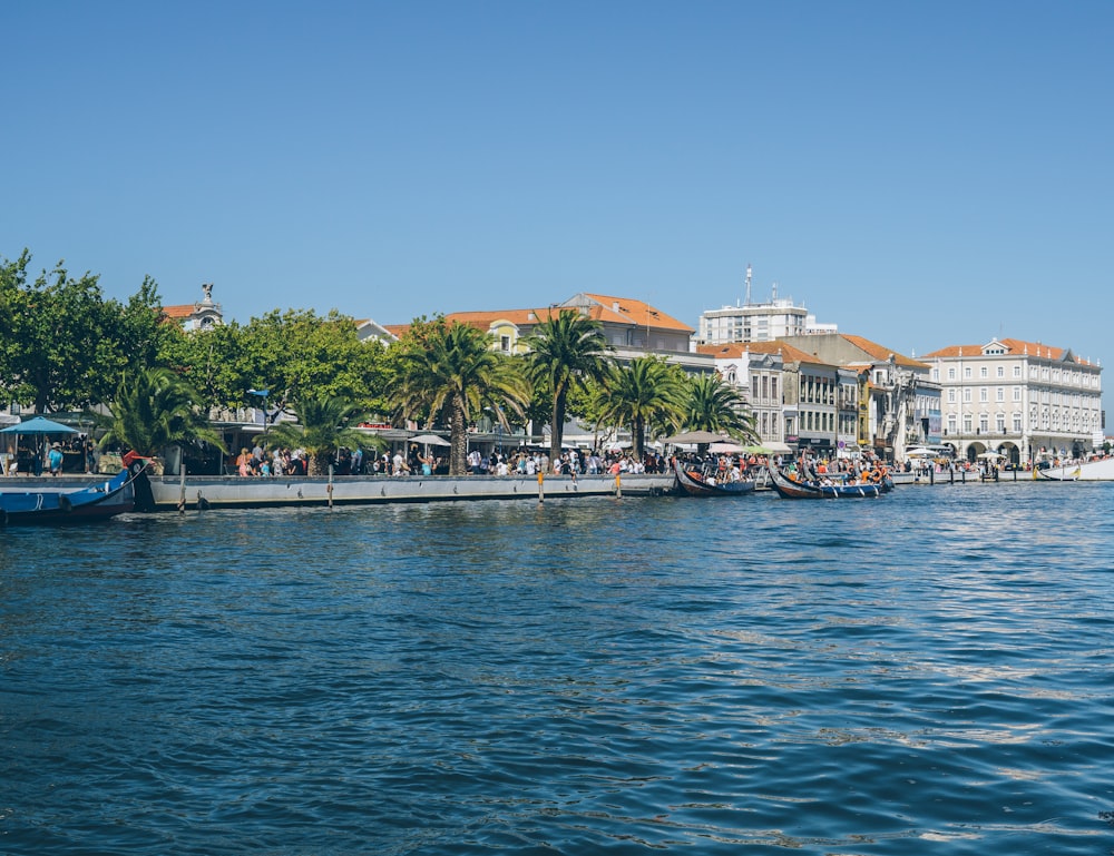 a body of water with a bunch of boats in it