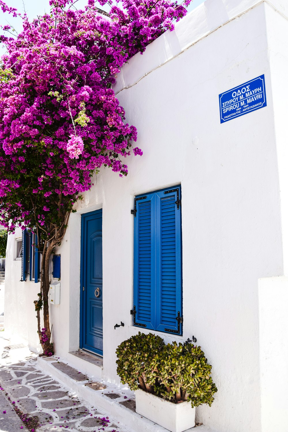 a white building with a blue door and a tree with purple flowers